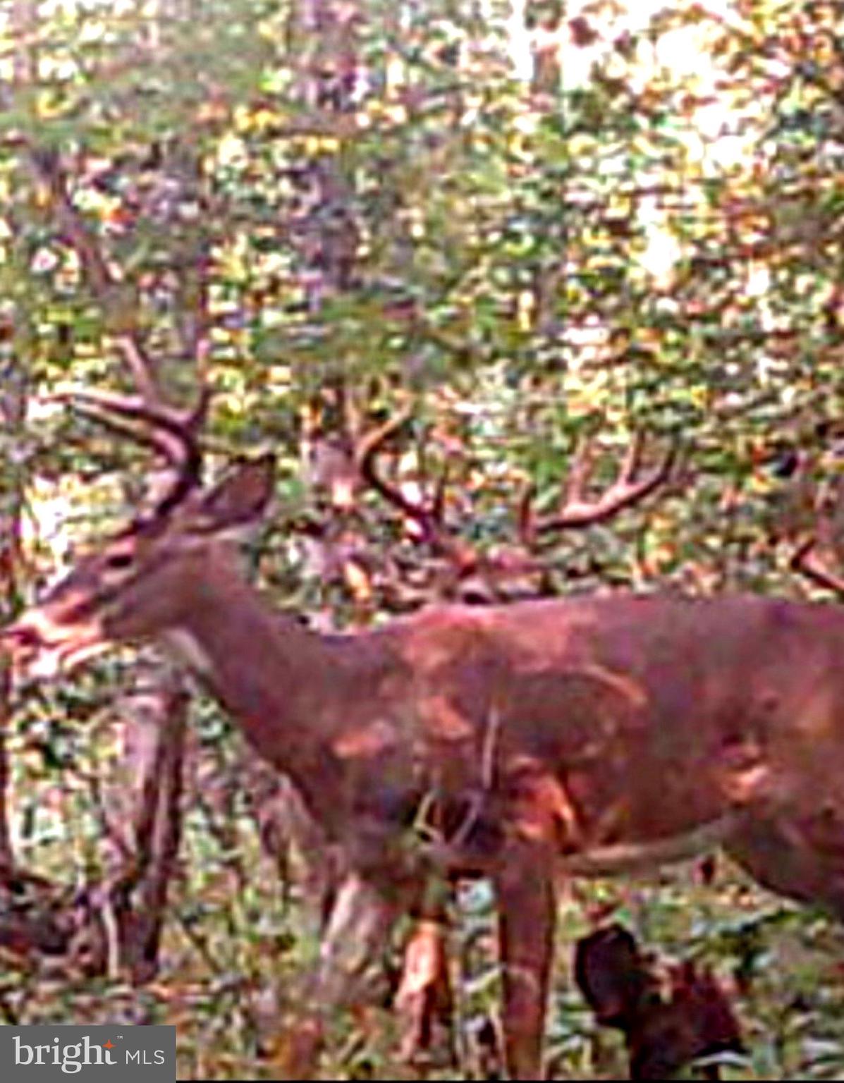 PETZOLD DRIVE PARCEL F