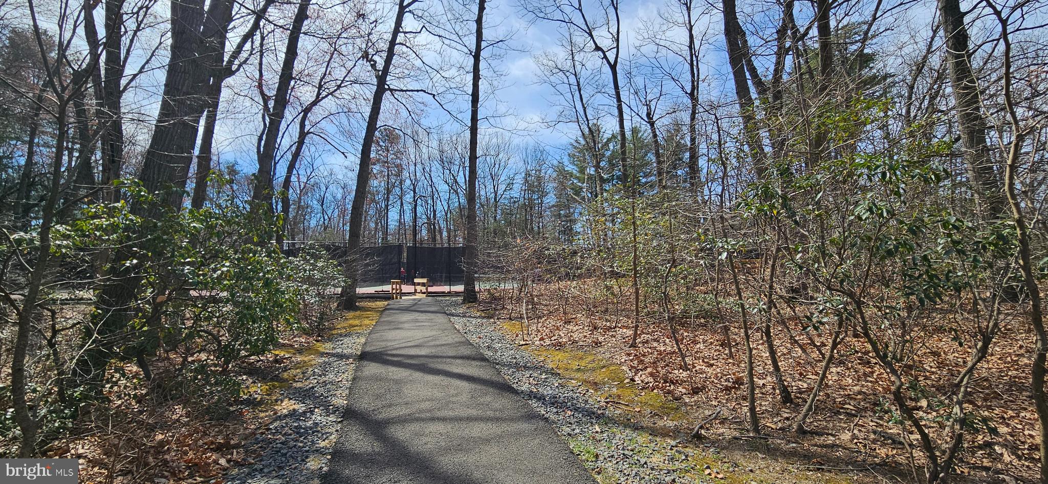 BURKE COVE - Residential Lease