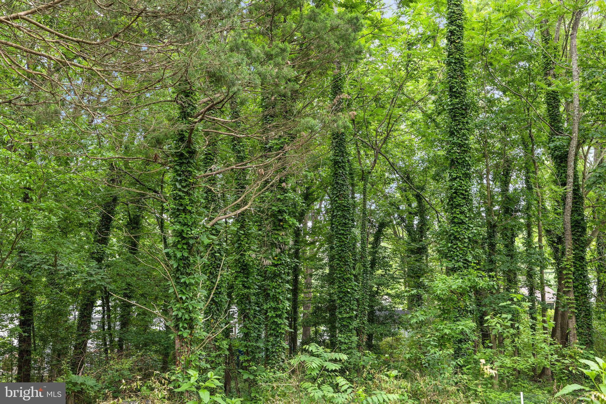 CITY OF FREDERICKSBURG - Residential