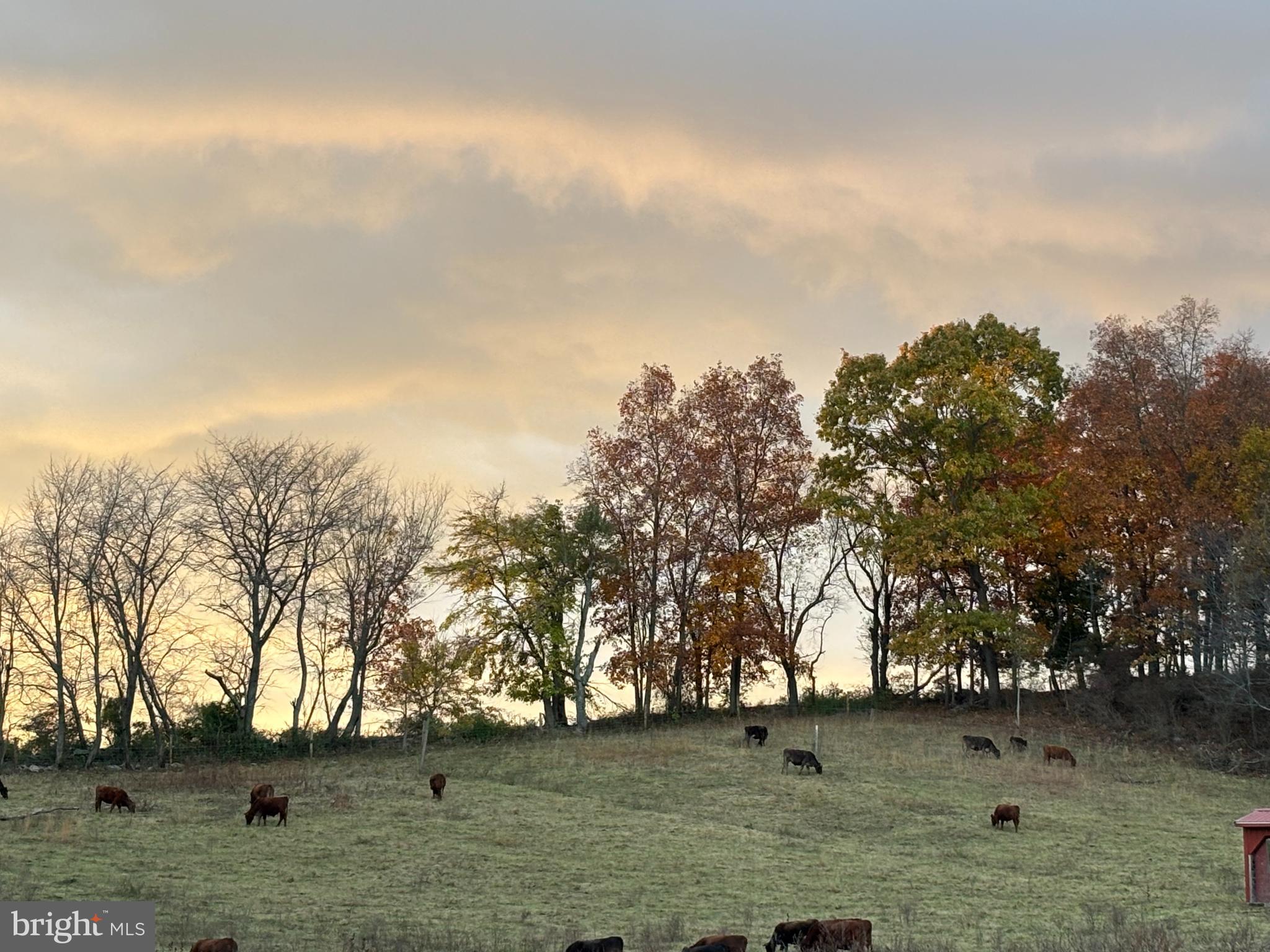 SHREWSBURY TWP - Farm