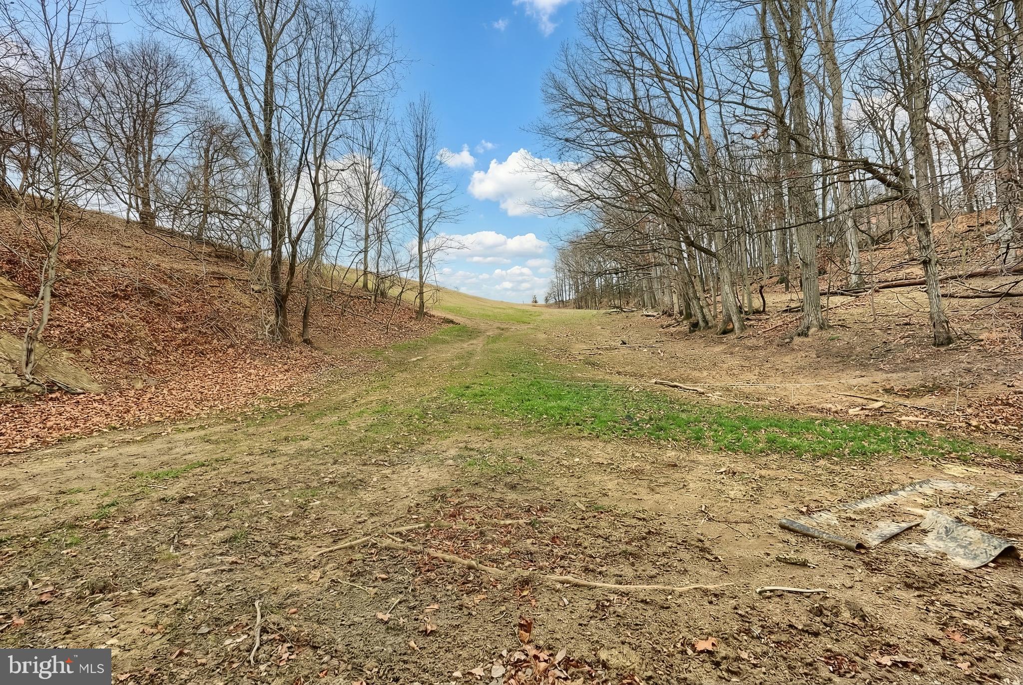 SHREWSBURY TWP - Farm