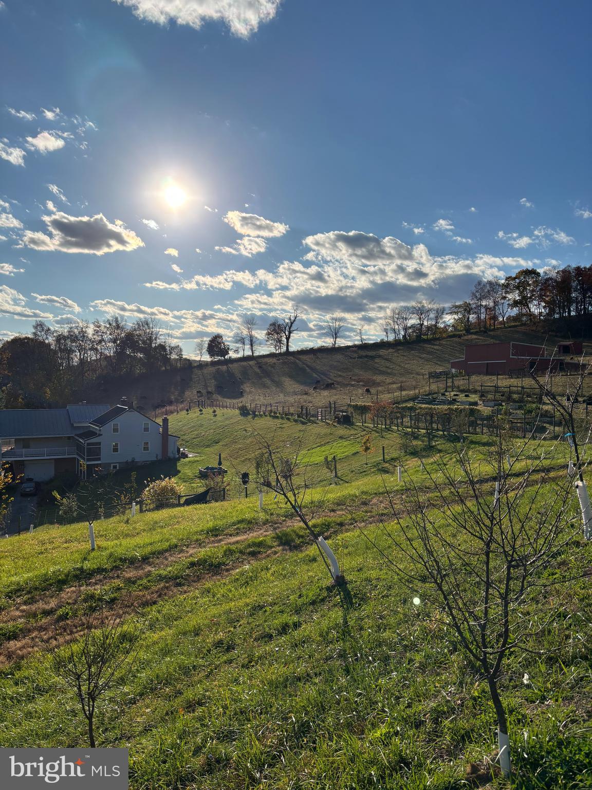 SHREWSBURY TWP - Farm