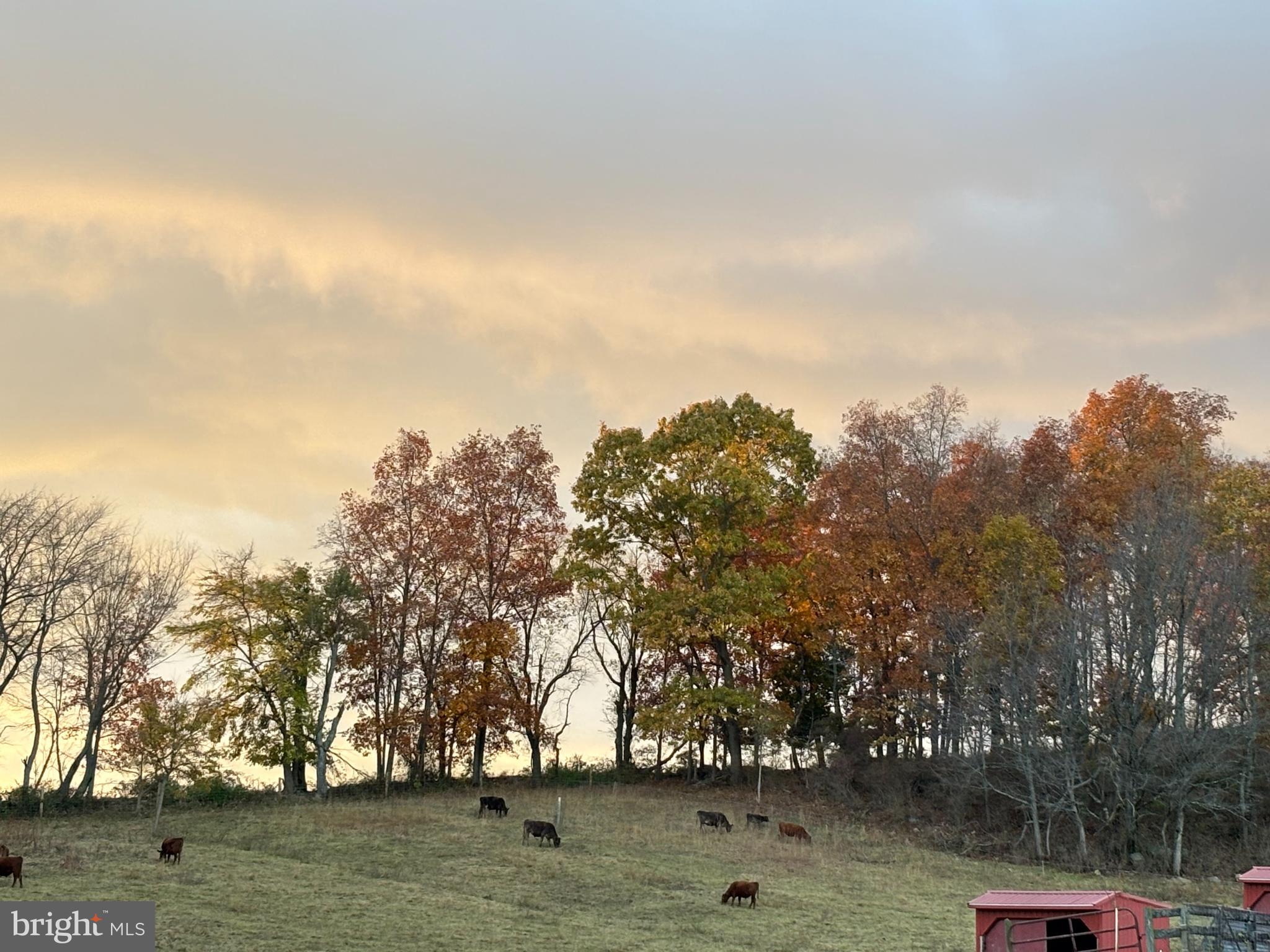 SHREWSBURY TWP - Farm