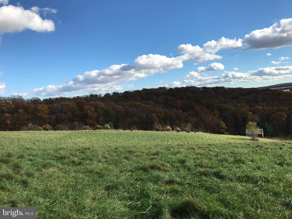 SHREWSBURY TWP - Farm