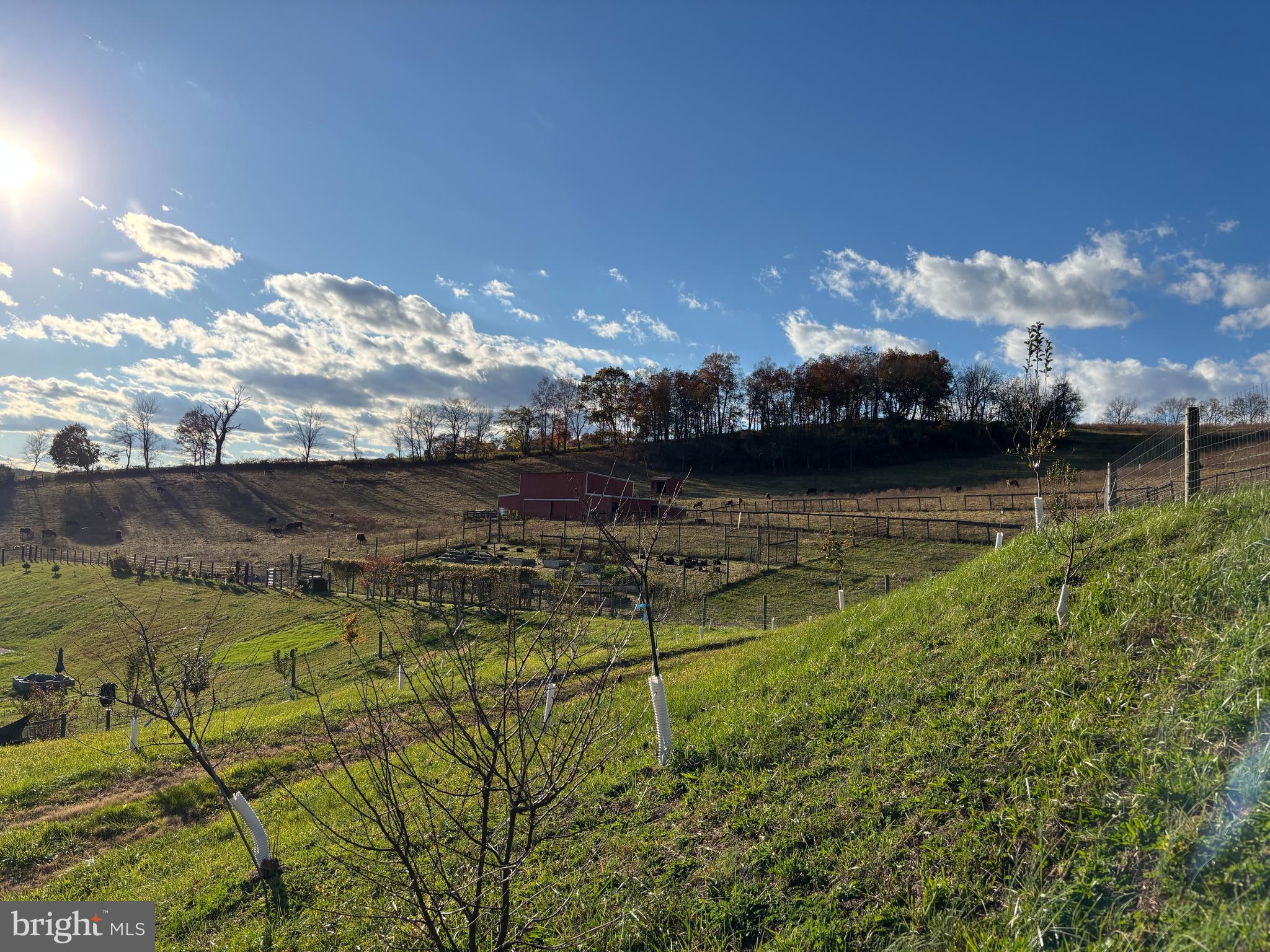 SHREWSBURY TWP - Farm