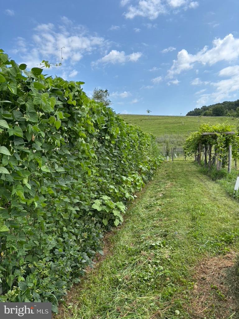 SHREWSBURY TWP - Farm