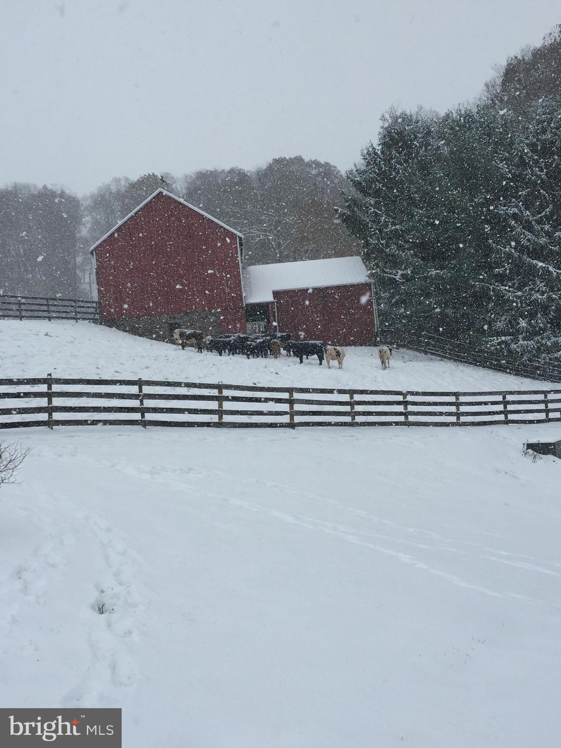 SHREWSBURY TWP - Farm