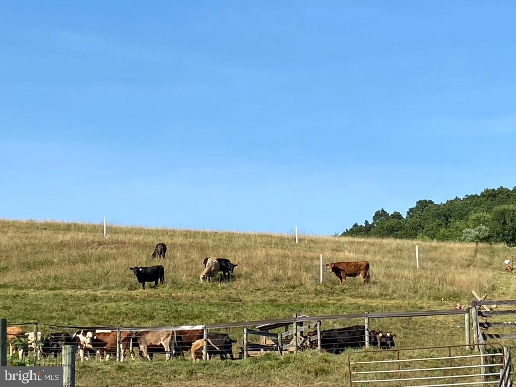 SHREWSBURY TWP - Farm
