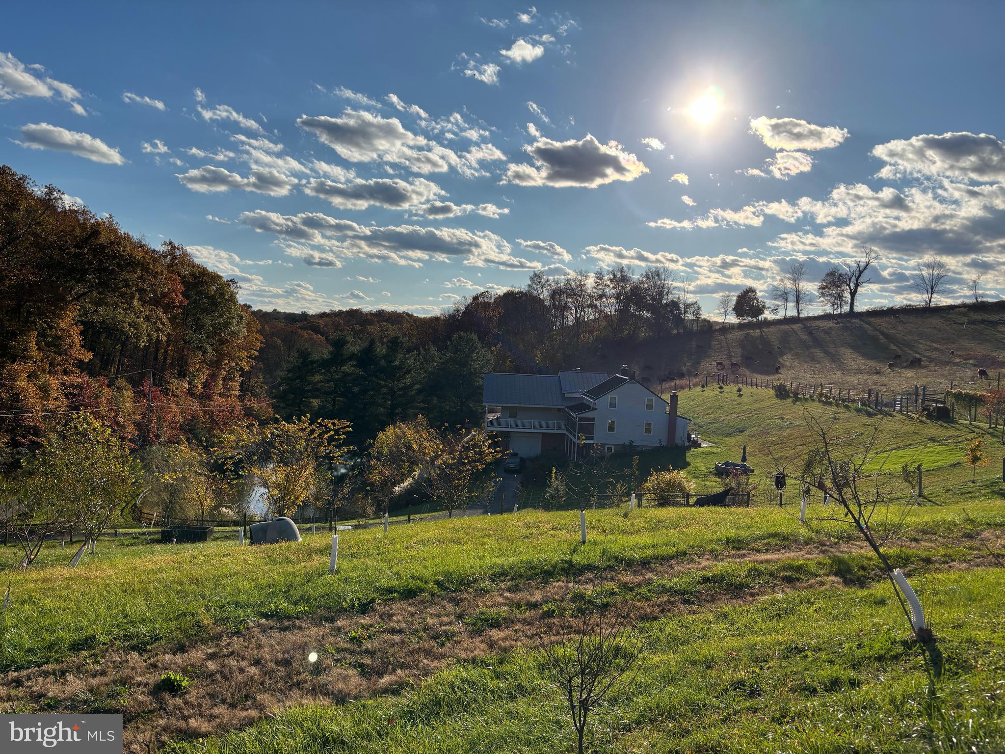 SHREWSBURY TWP - Farm