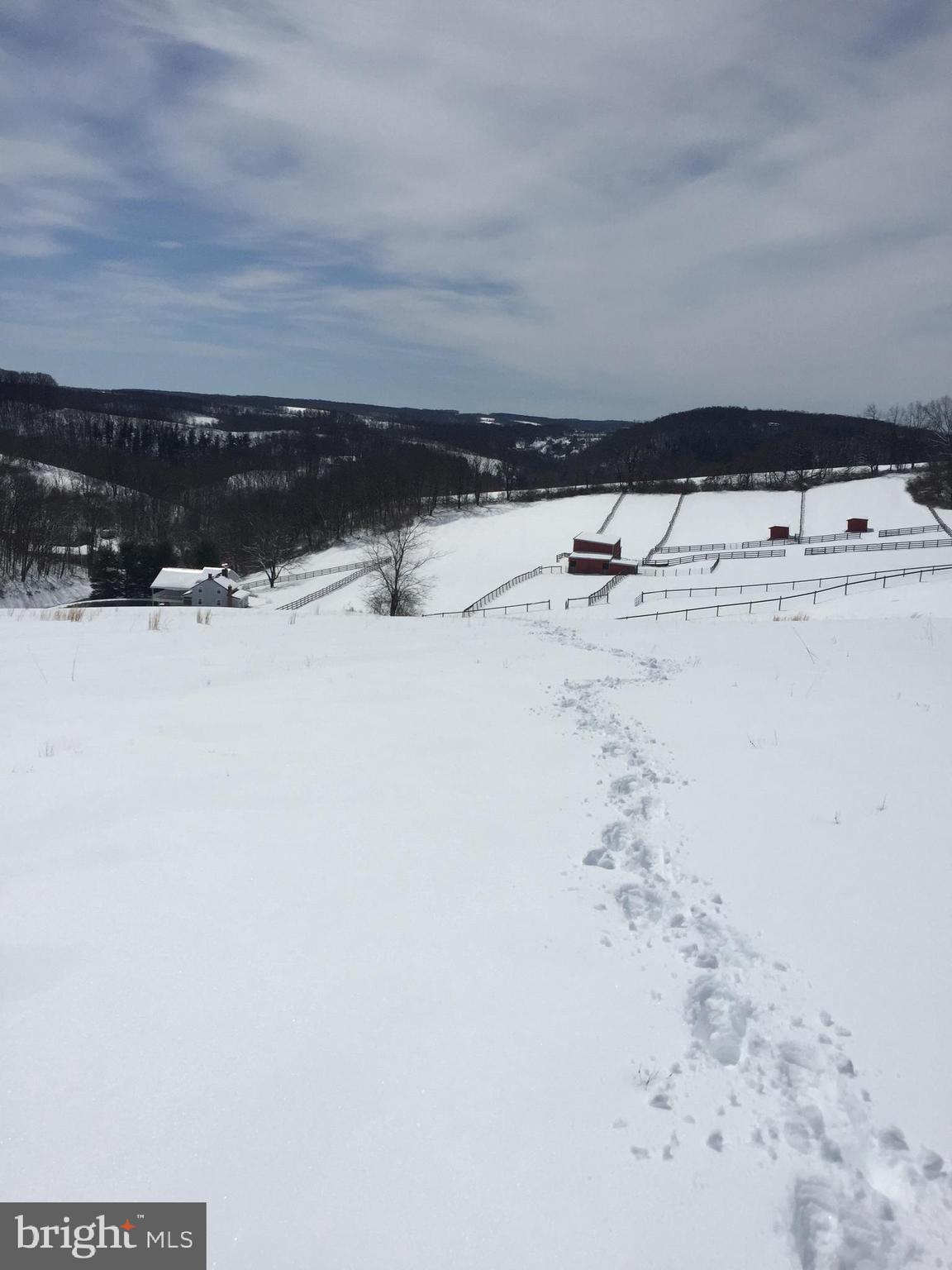 SHREWSBURY TWP - Farm