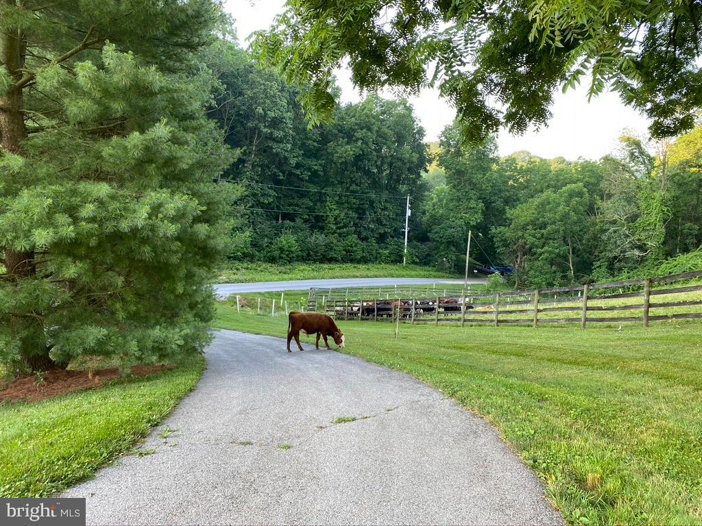 SHREWSBURY TWP - Farm