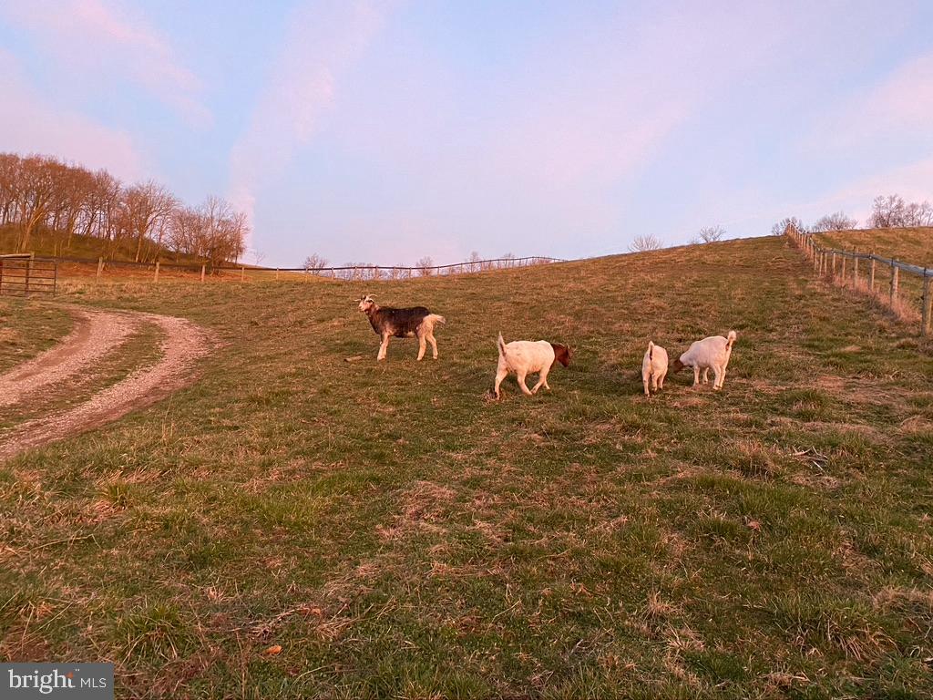 SHREWSBURY TWP - Farm