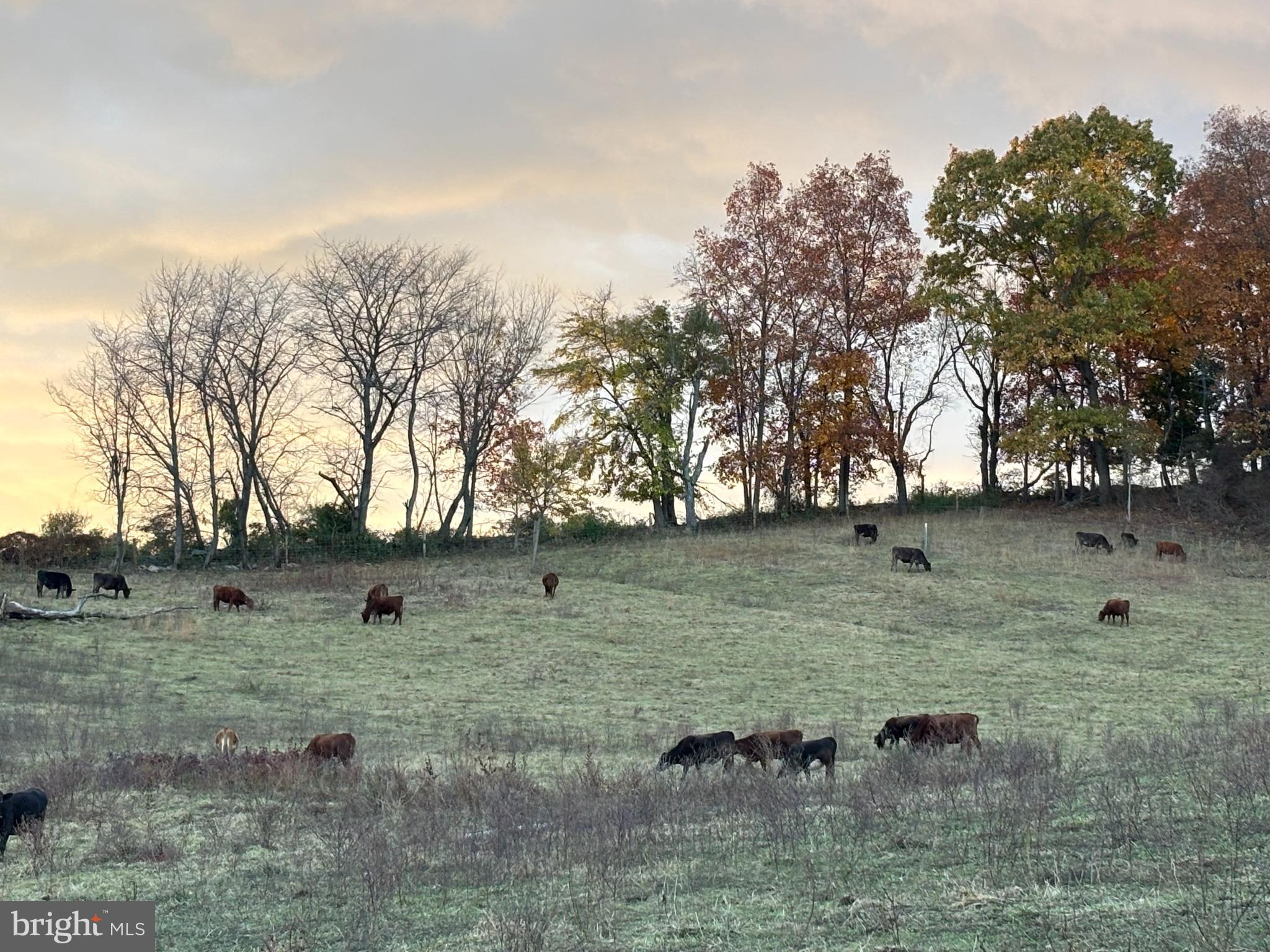 SHREWSBURY TWP - Farm
