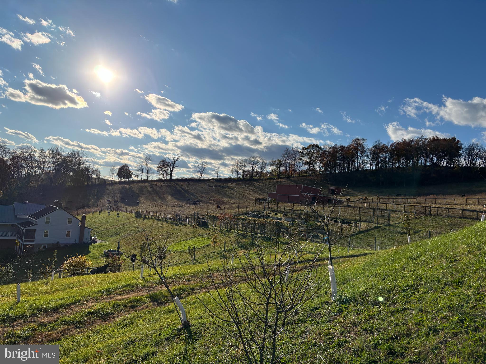 SHREWSBURY TWP - Farm