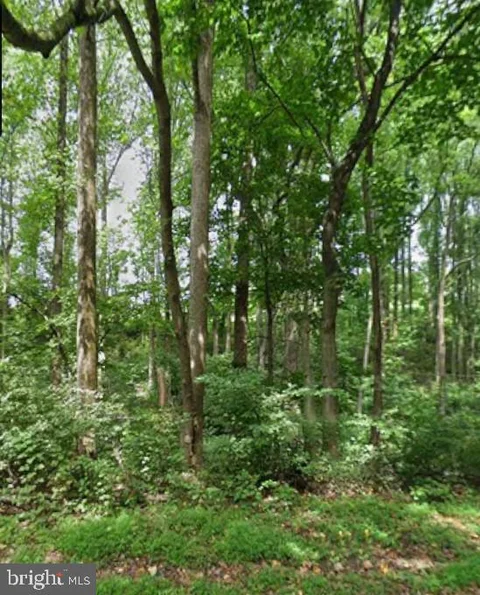 MLS: MDCR2036244