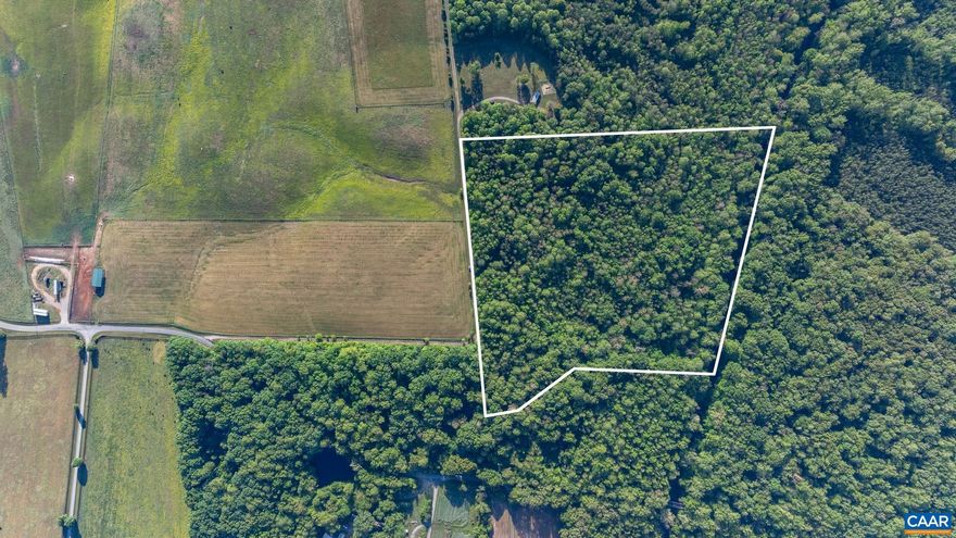 Rare opportunity to own 21.18 acres in Louisa County featuring a beautiful stand of mature timber and direct frontage along the South Anna River. This exceptional property offers a gently rolling topography that slopes down to the river, creating a private and scenic setting ideal for a custom home, recreational retreat, or investment. Enjoy the natural beauty of hardwoods, abundant wildlife, and the peaceful sounds of the river. Whether you?re looking to build, hunt, or simply escape, this property offers endless possibilities in a truly picturesque setting.
