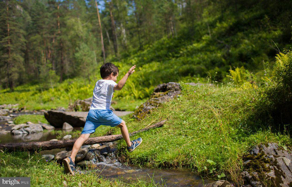 CATONSVILLE - Residential