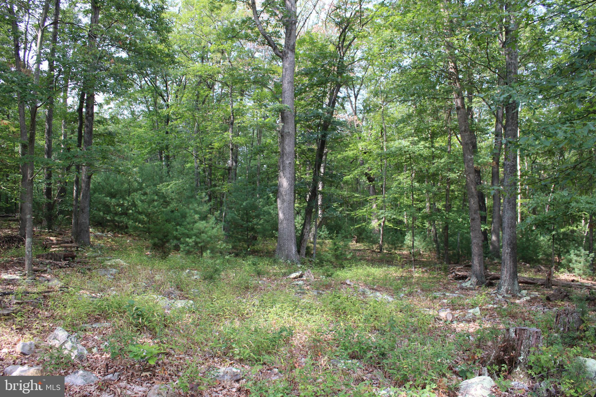 EVERGREEN FARMS - Land