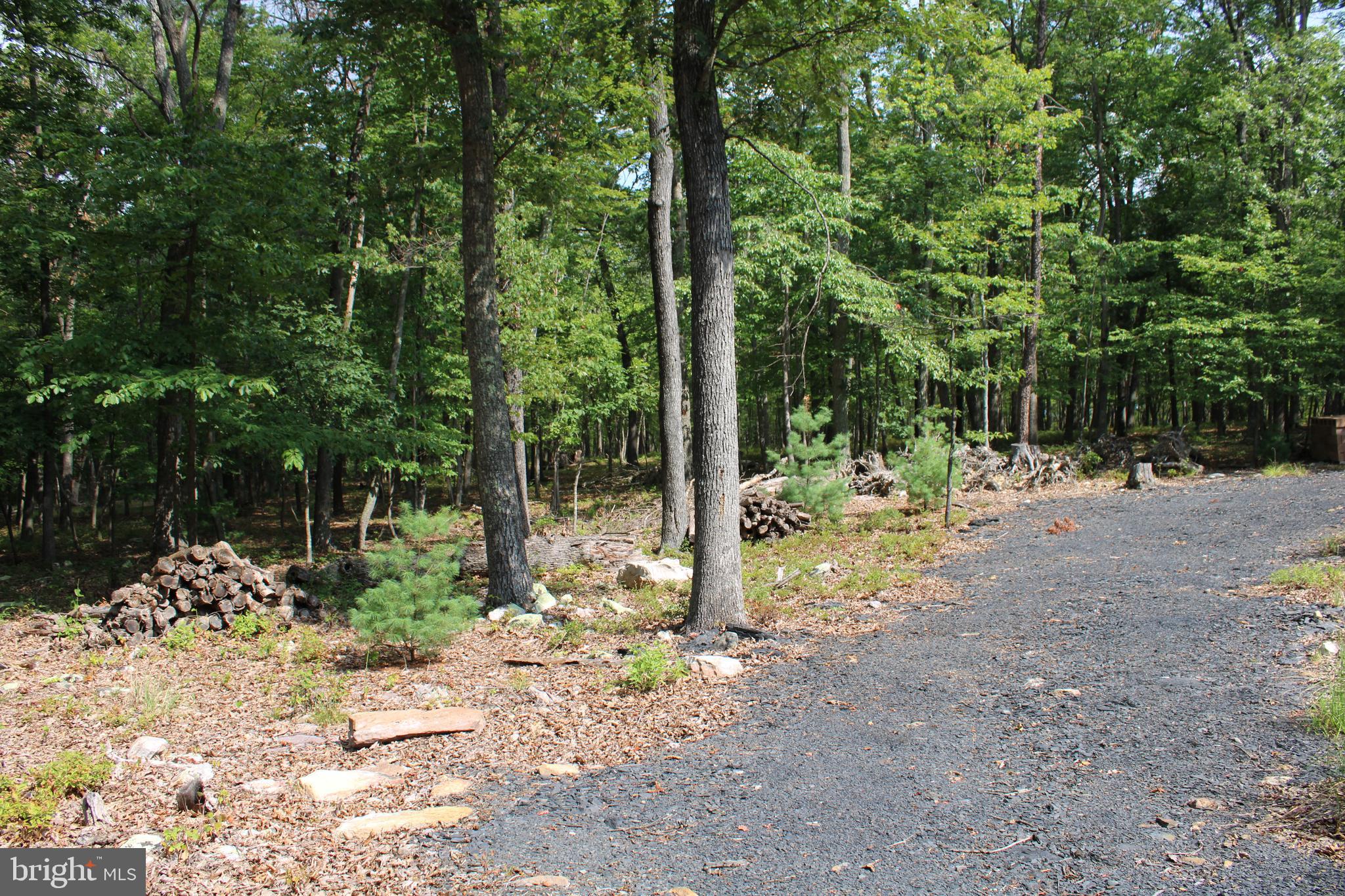 EVERGREEN FARMS - Land