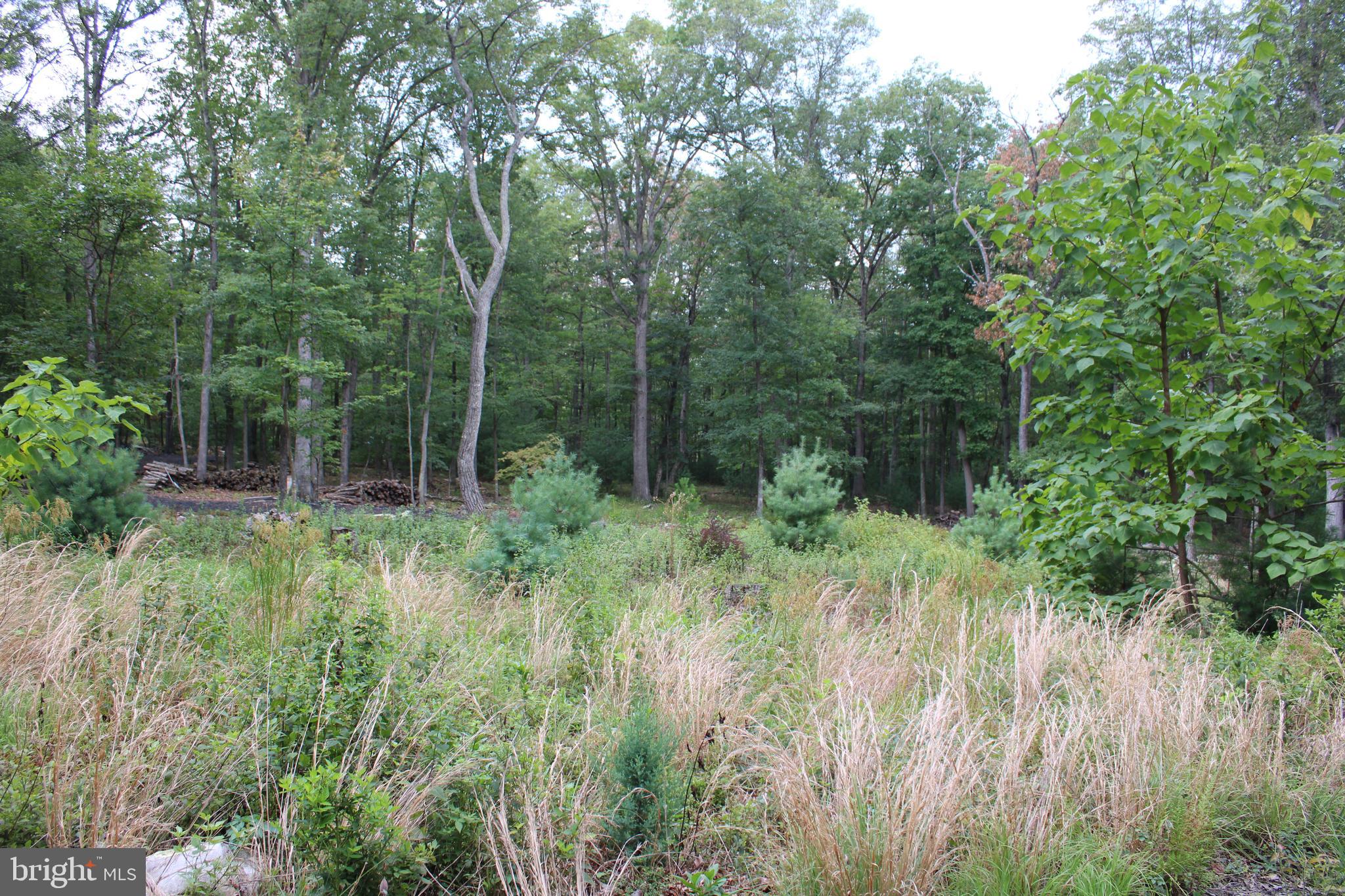 EVERGREEN FARMS - Land