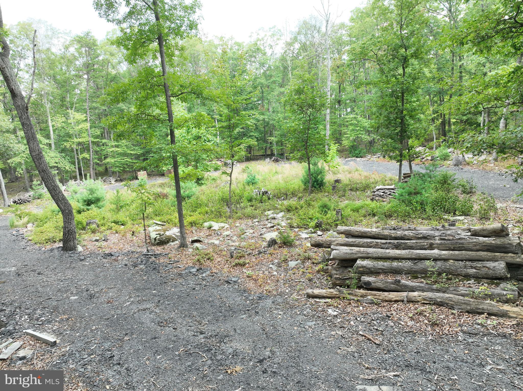 EVERGREEN FARMS - Land