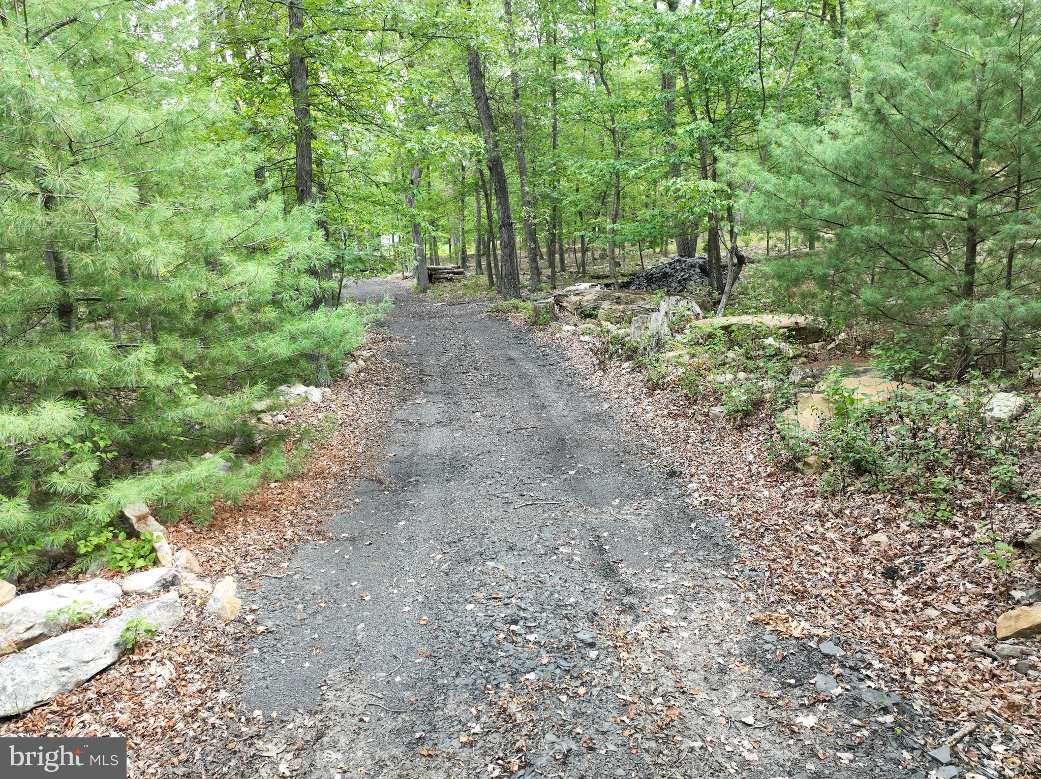 EVERGREEN FARMS - Land