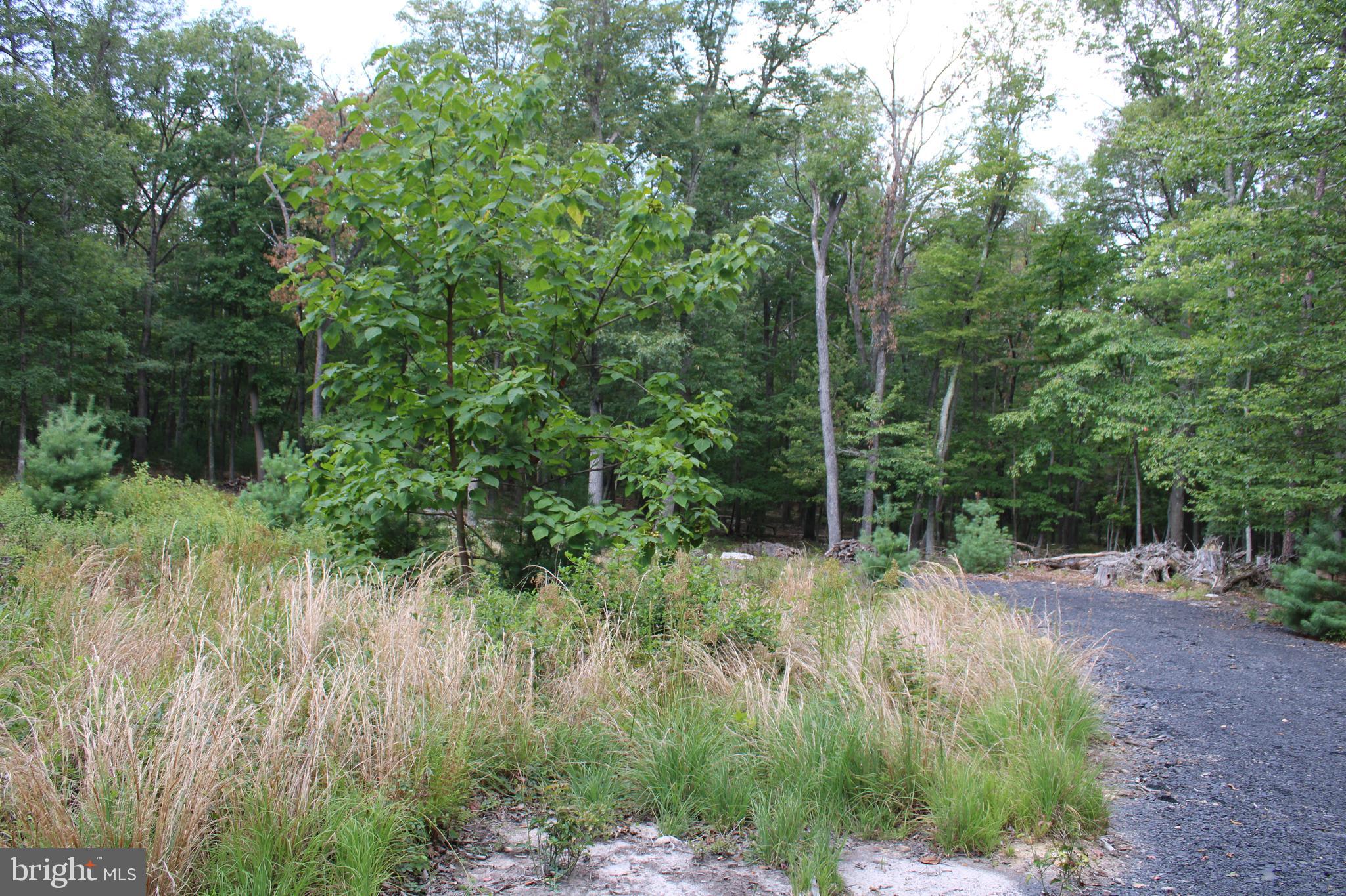 EVERGREEN FARMS - Land