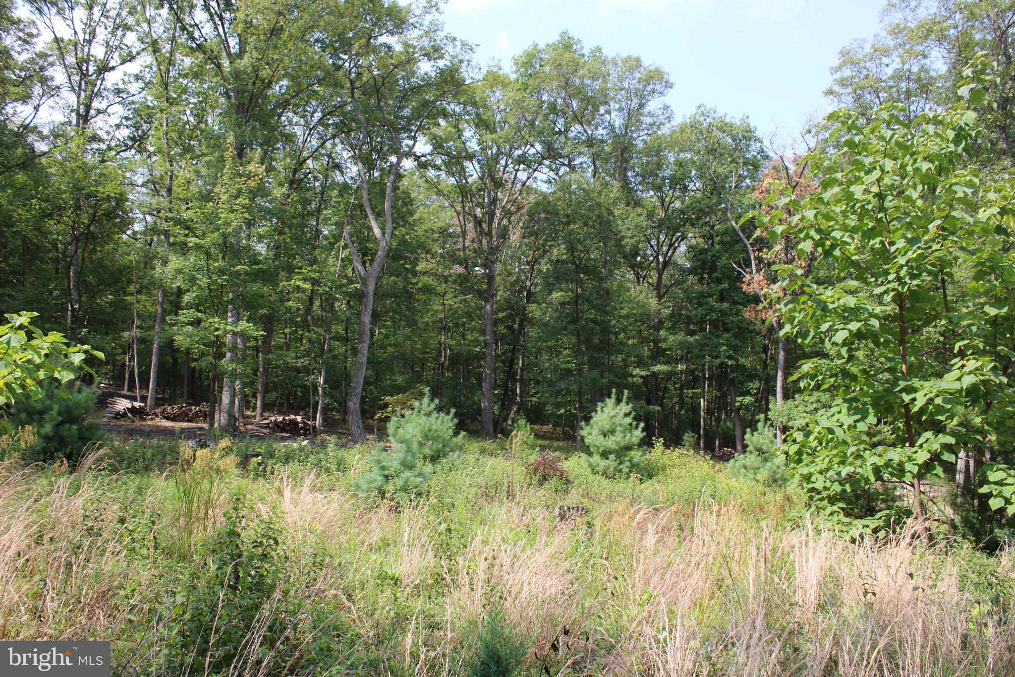 EVERGREEN FARMS - Land