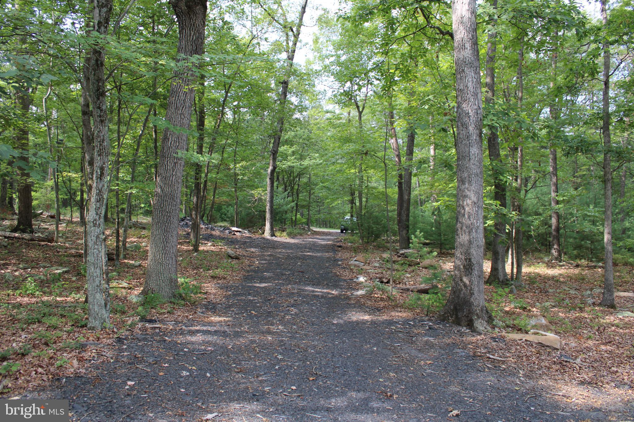 EVERGREEN FARMS - Land