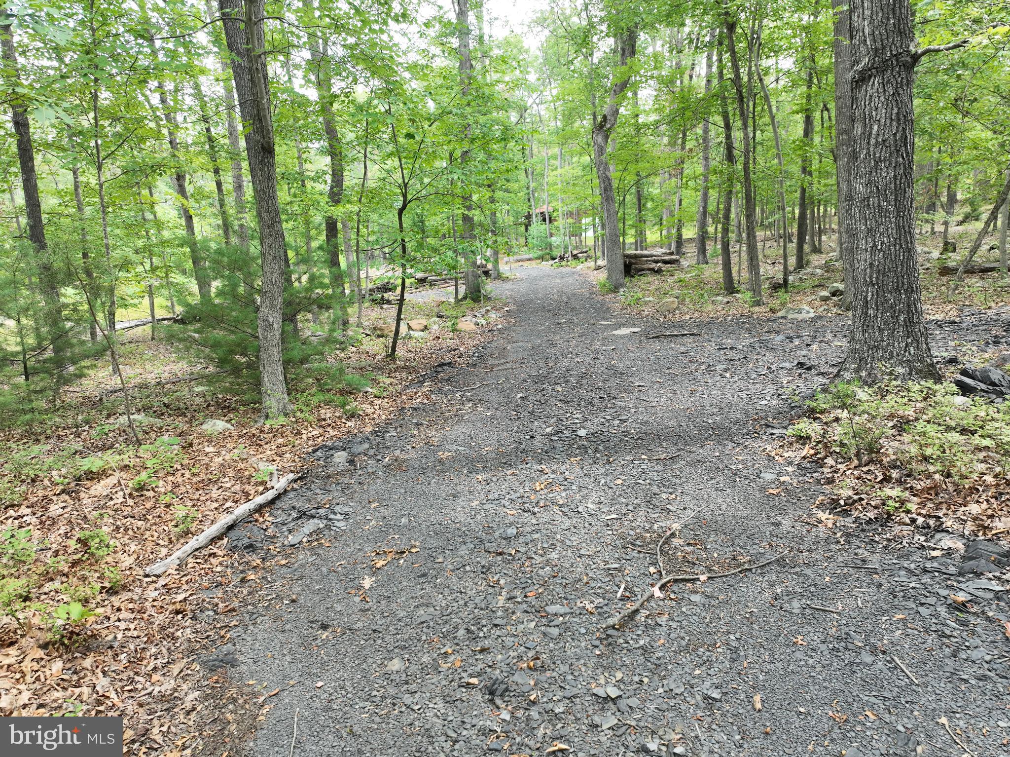 EVERGREEN FARMS - Land