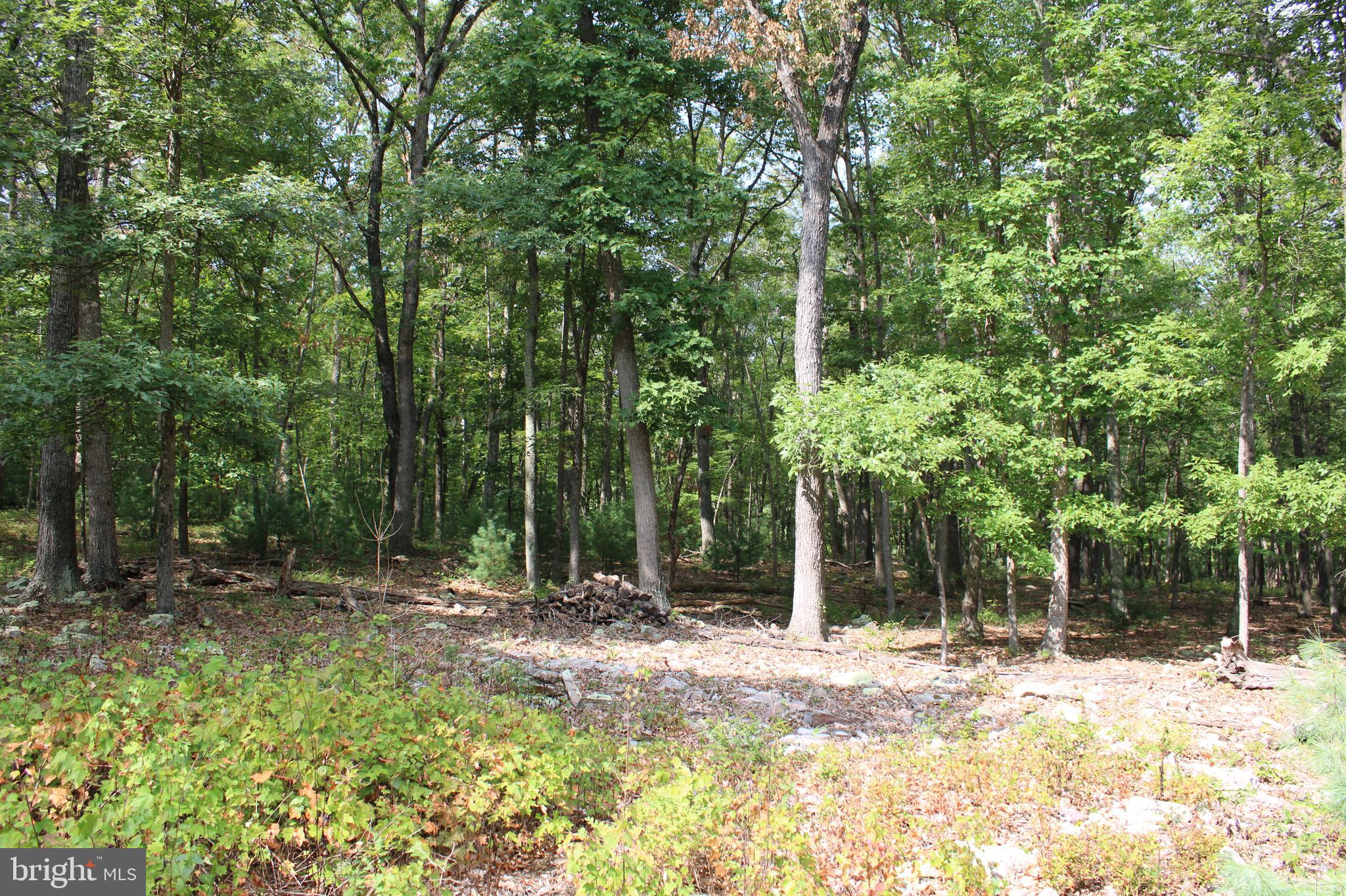 EVERGREEN FARMS - Land