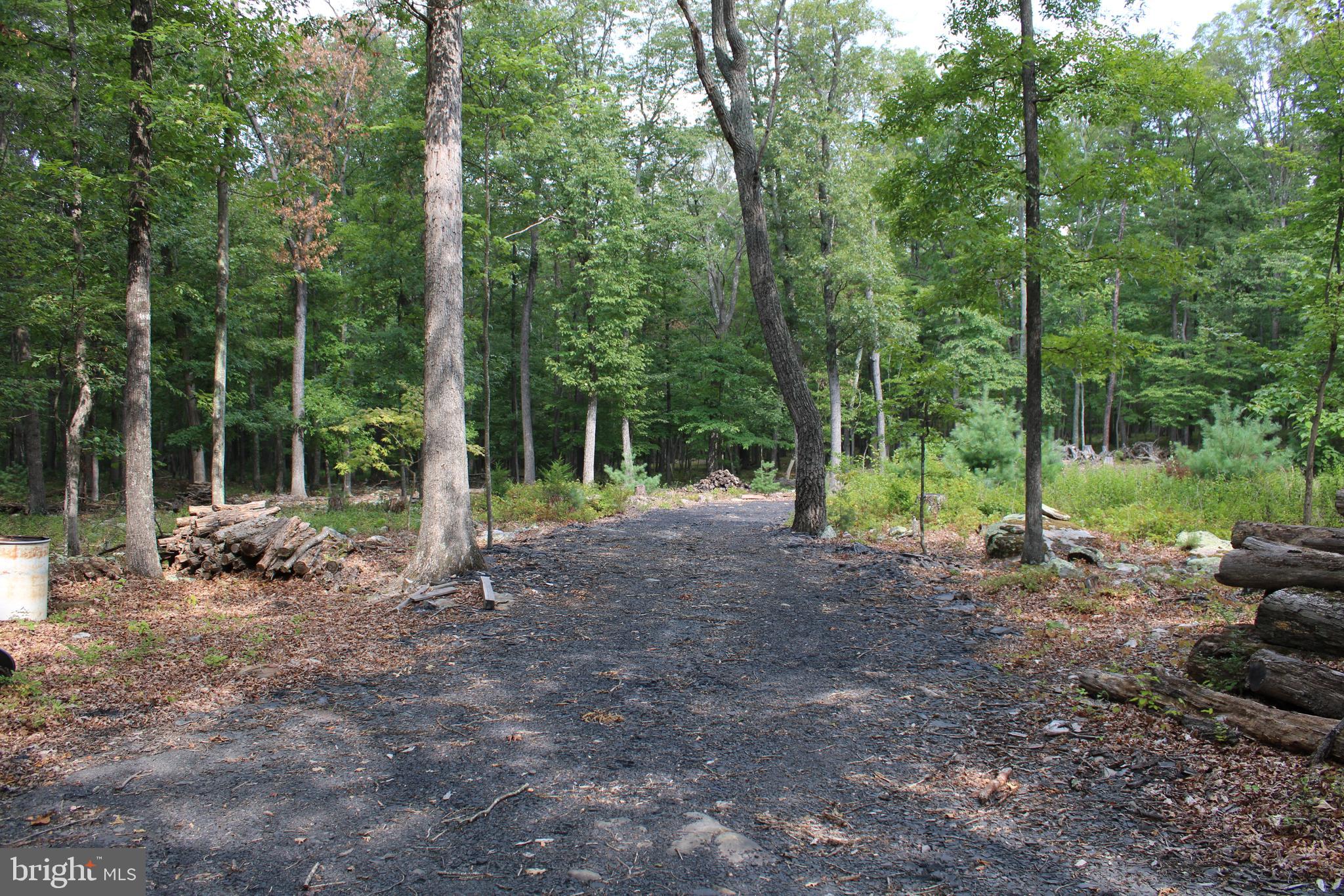 EVERGREEN FARMS - Land