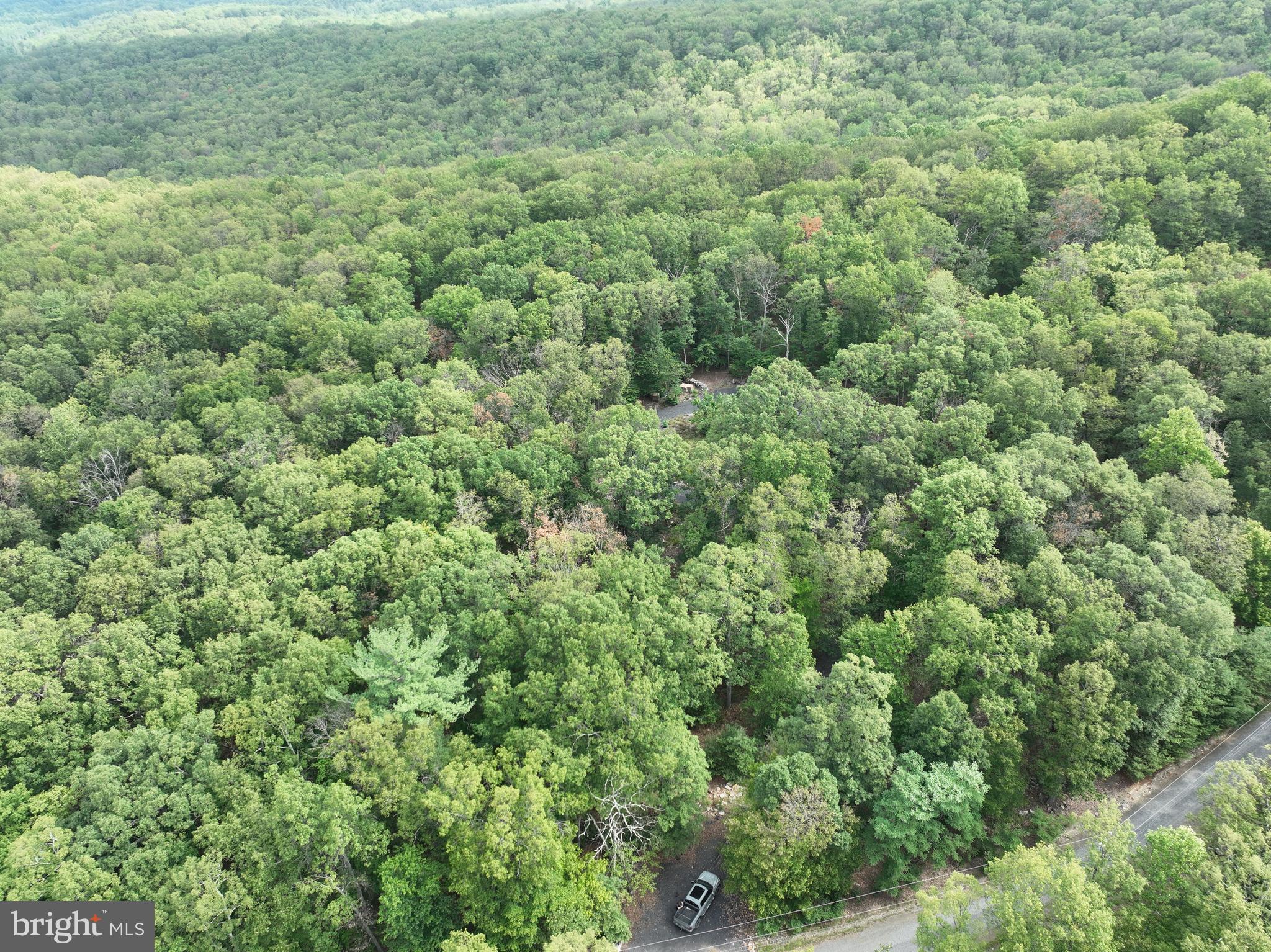 EVERGREEN FARMS - Land