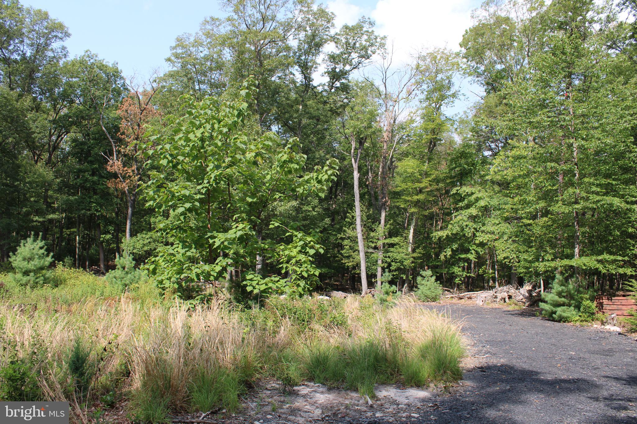 EVERGREEN FARMS - Land