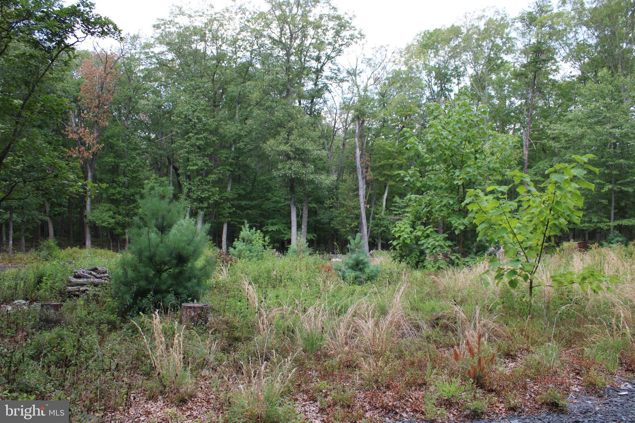 EVERGREEN FARMS - Land