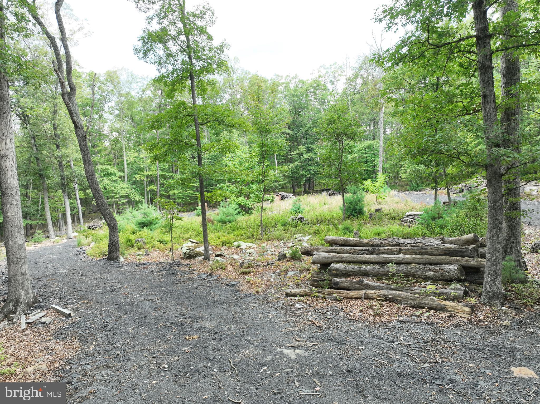 EVERGREEN FARMS - Land