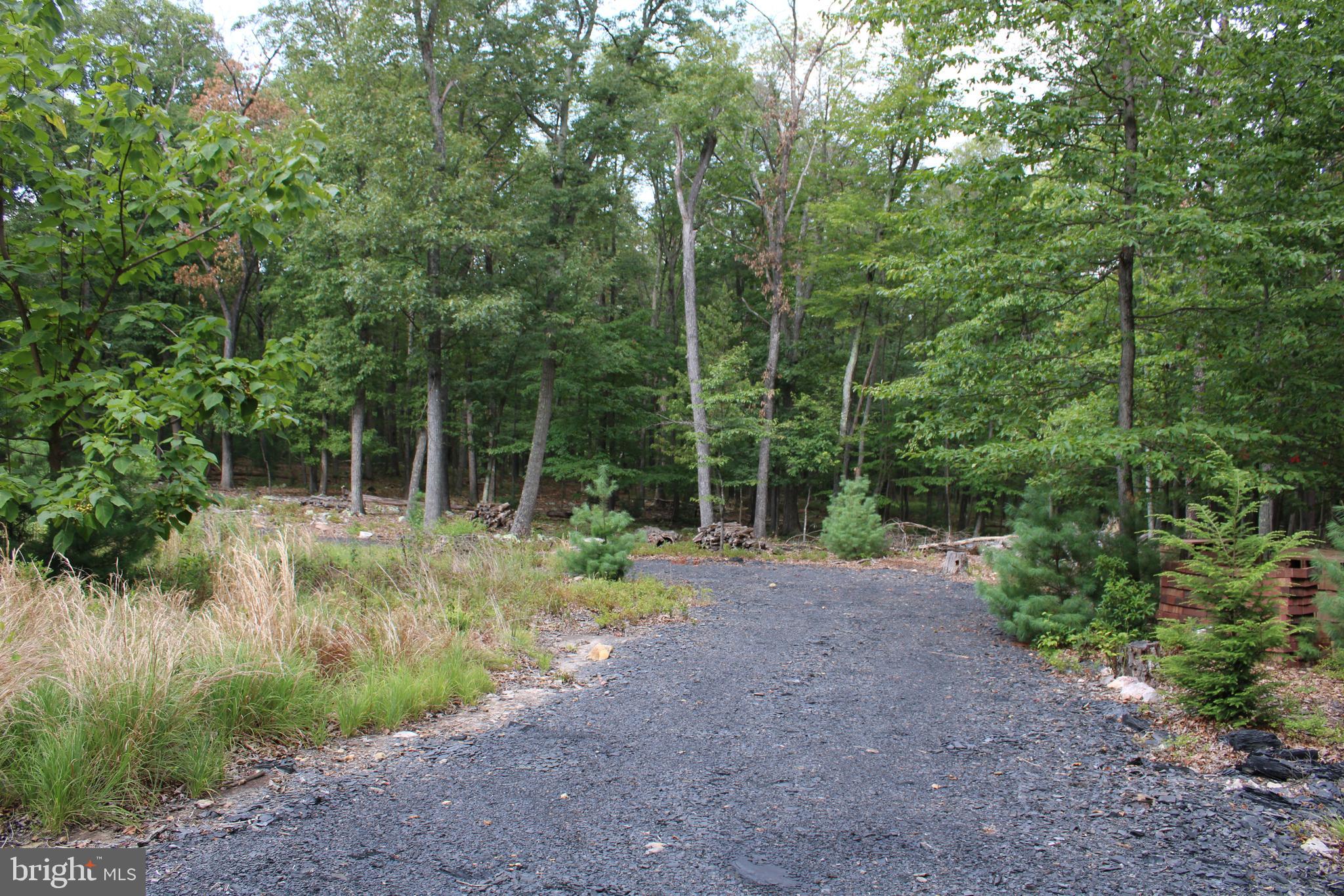 EVERGREEN FARMS - Land