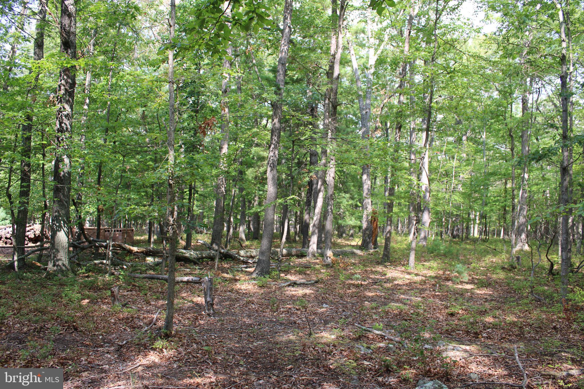 EVERGREEN FARMS - Land