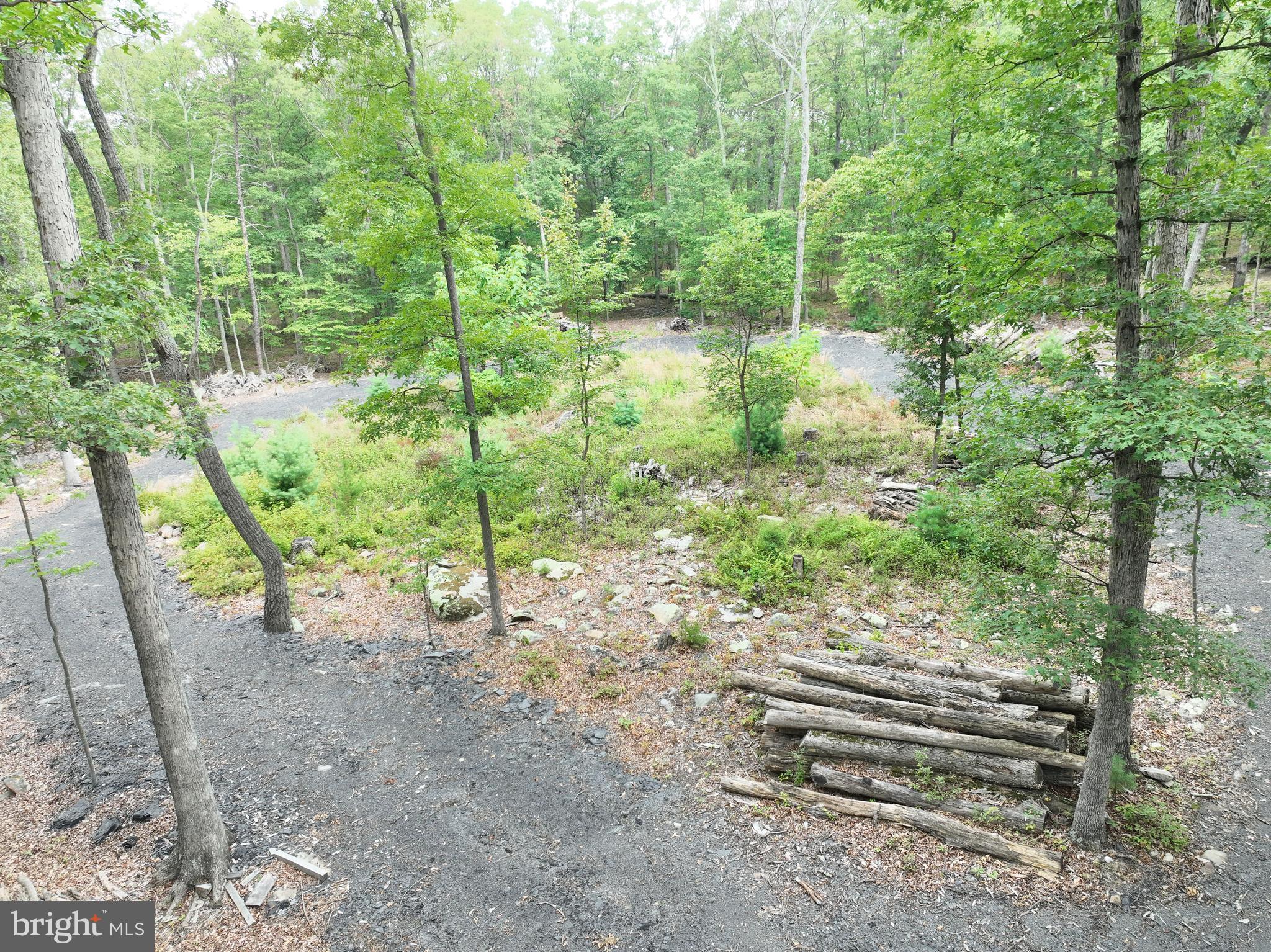 EVERGREEN FARMS - Land