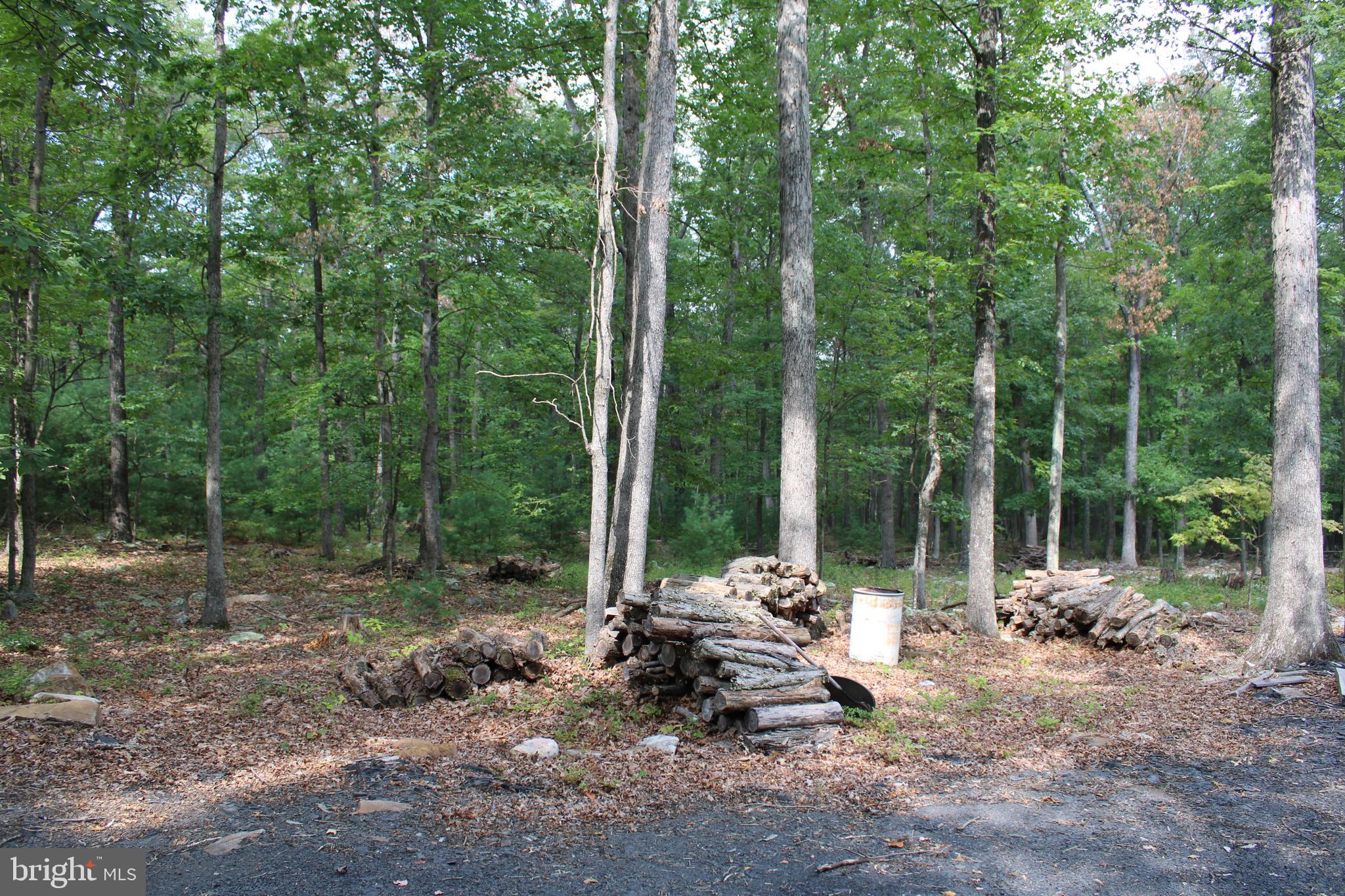 EVERGREEN FARMS - Land