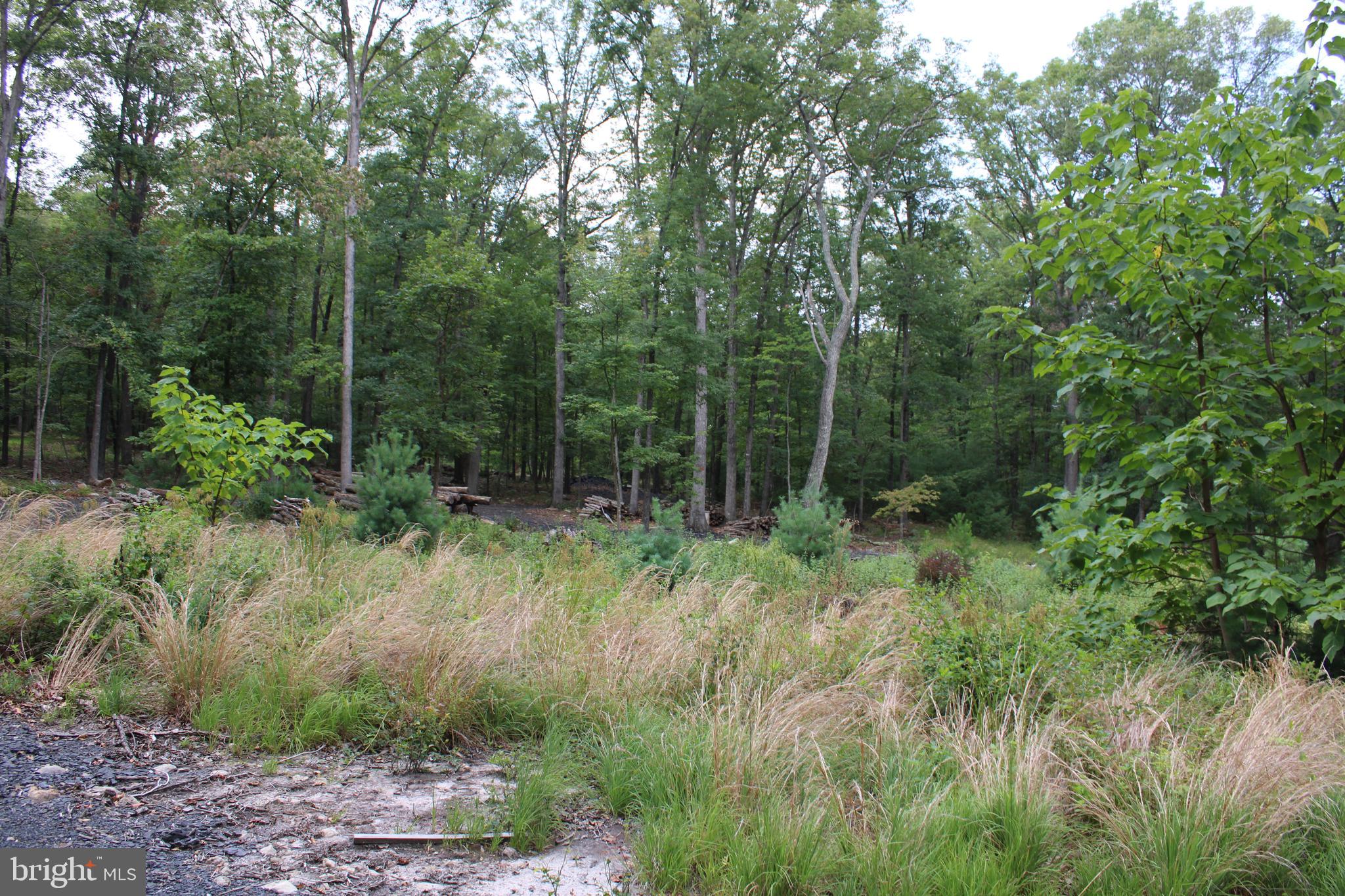 EVERGREEN FARMS - Land