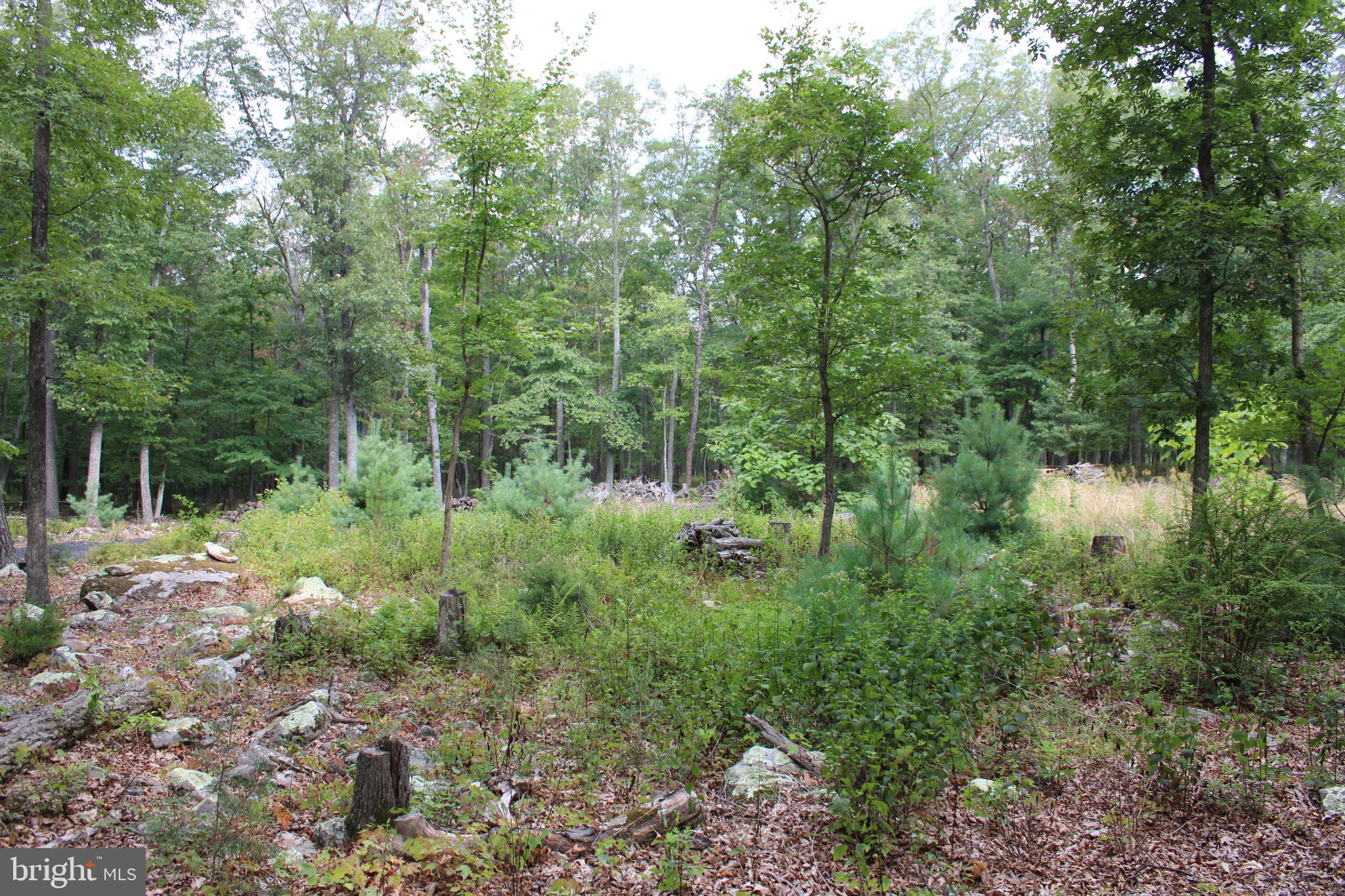 EVERGREEN FARMS - Land