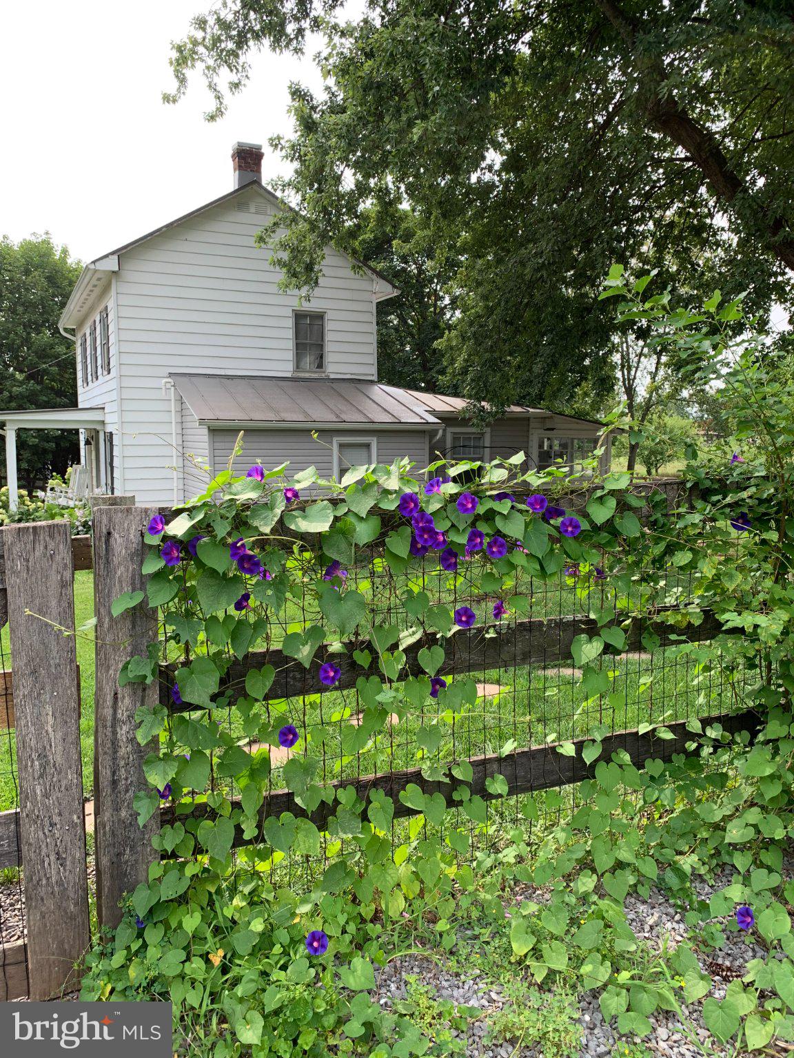 849 REDLAND ROAD