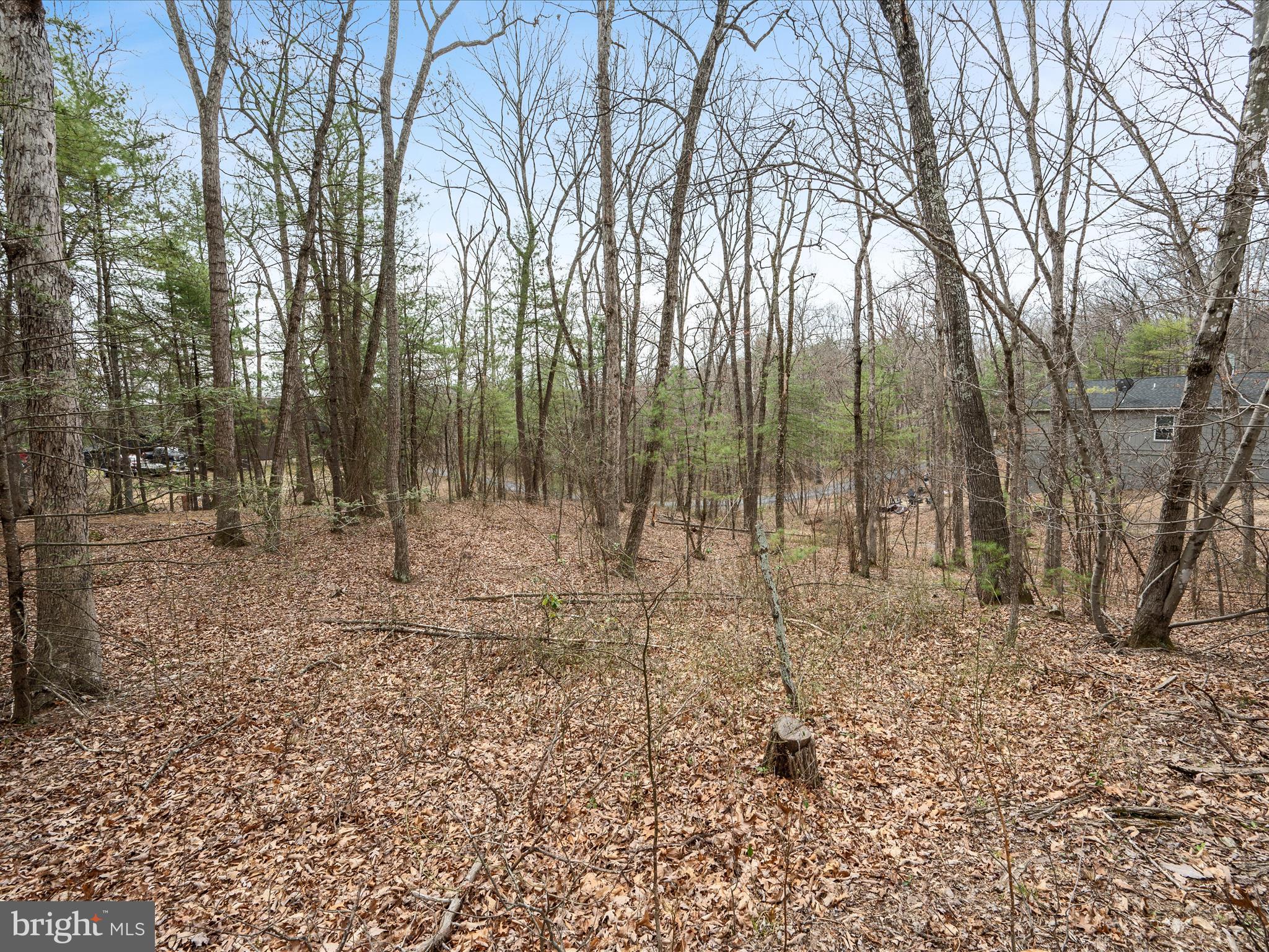 BRYCE MOUNTAIN - Land