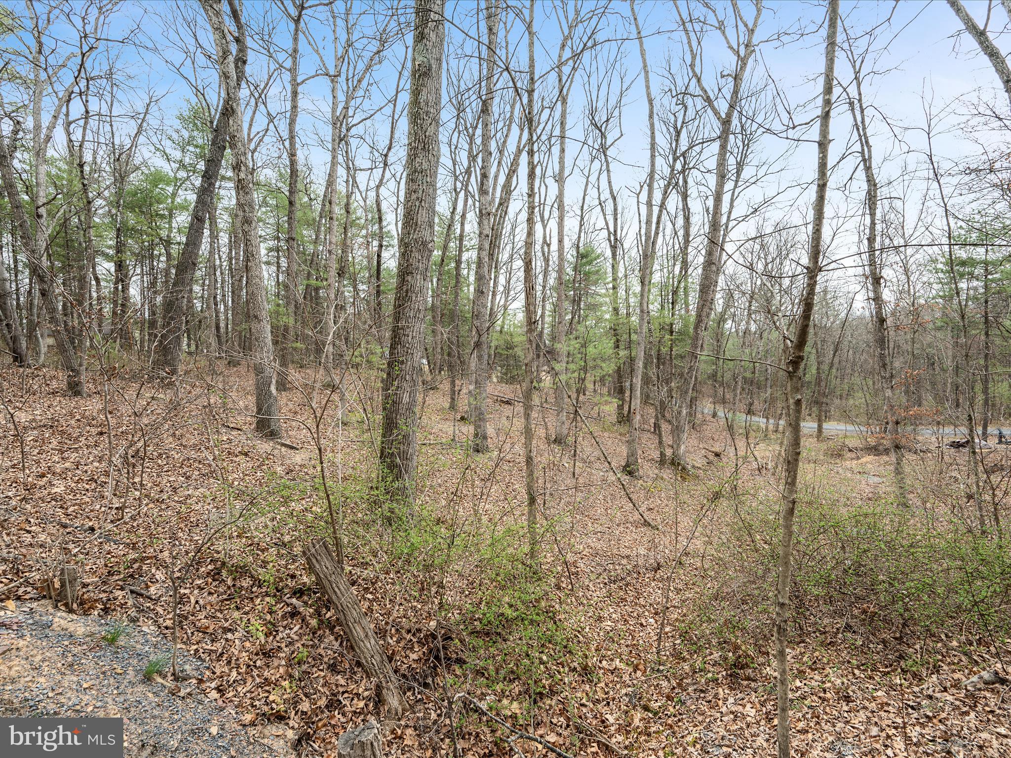 BRYCE MOUNTAIN - Land