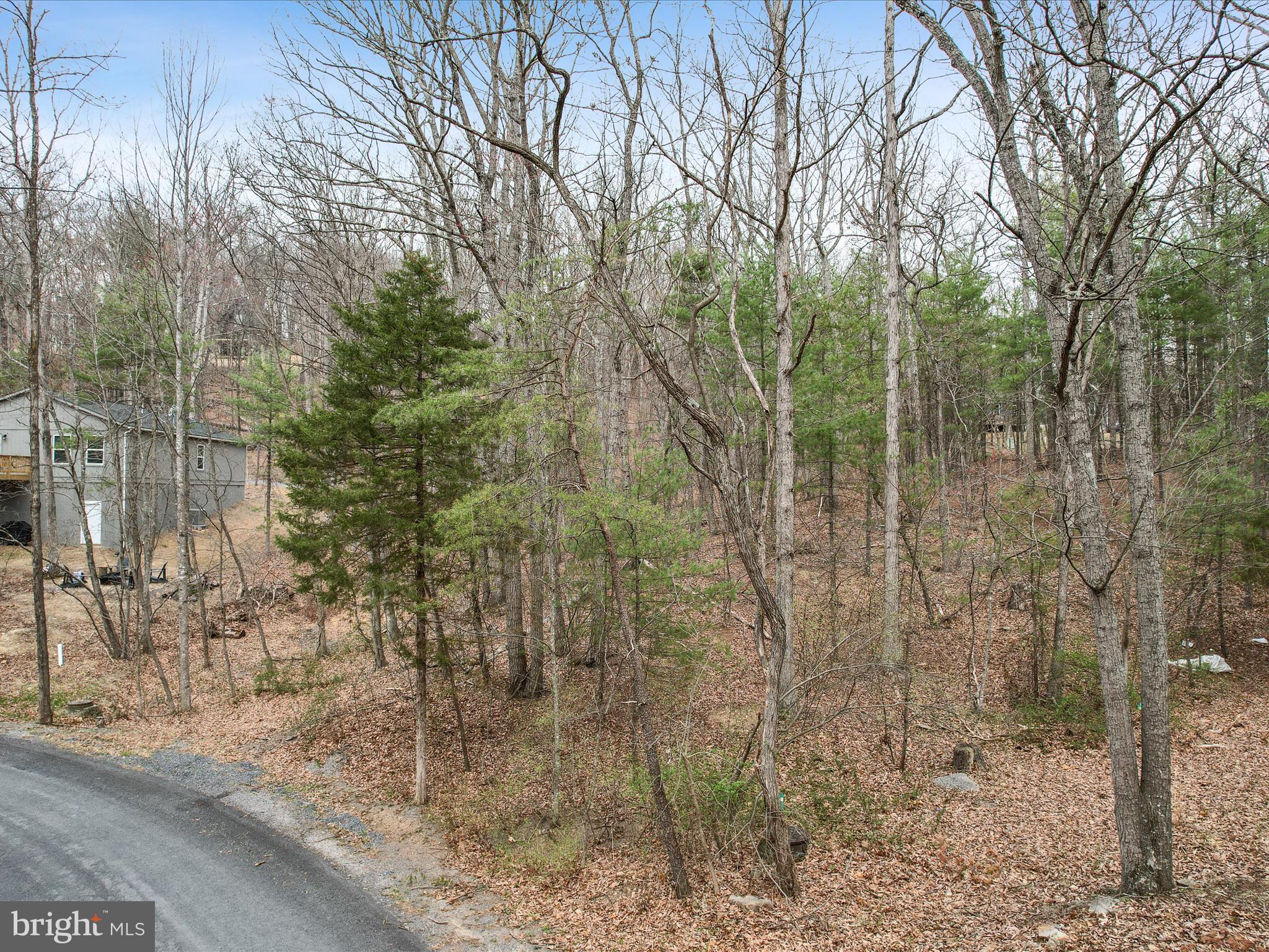 BRYCE MOUNTAIN - Land