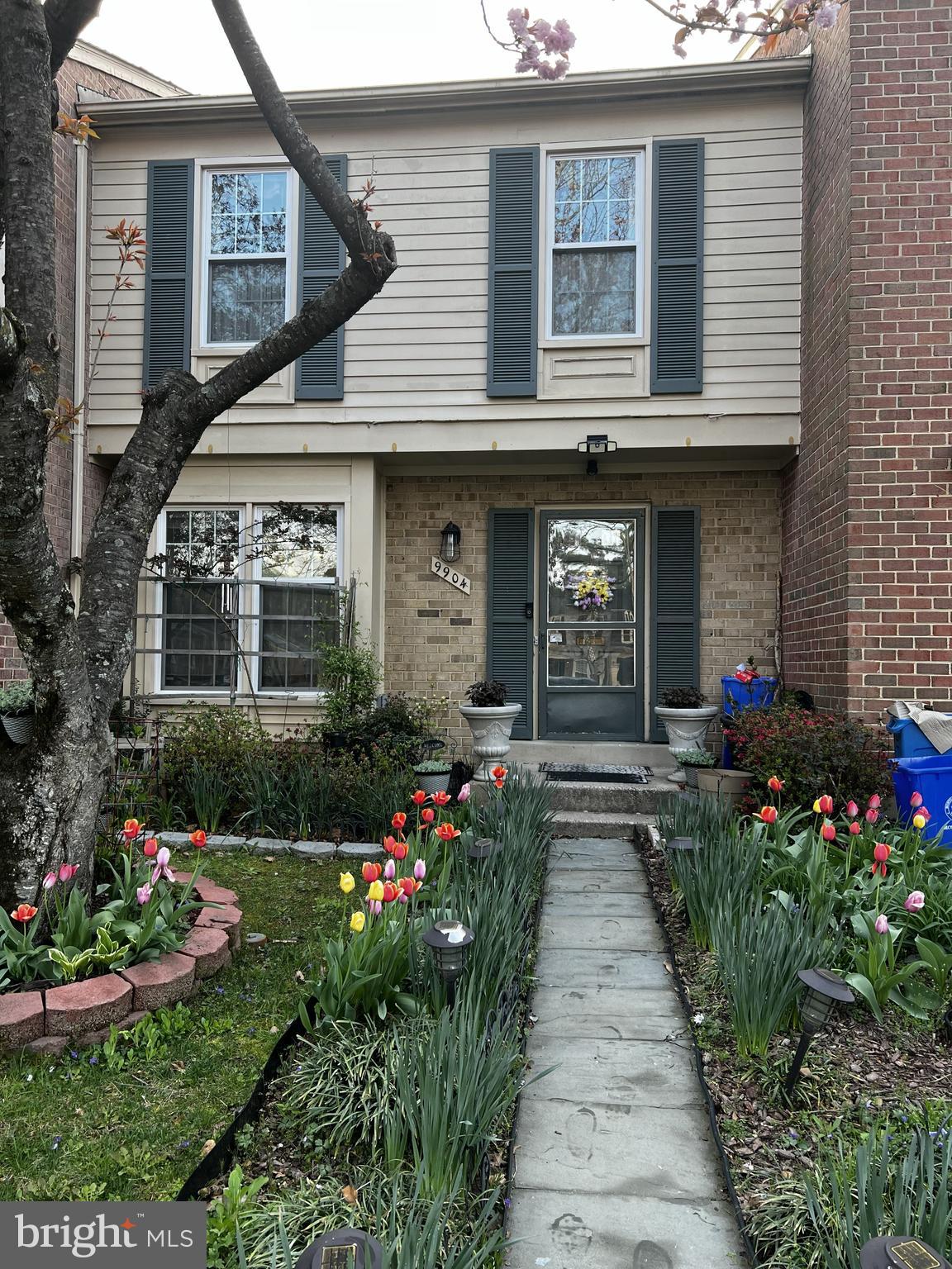 SHADOW OAK - Residential