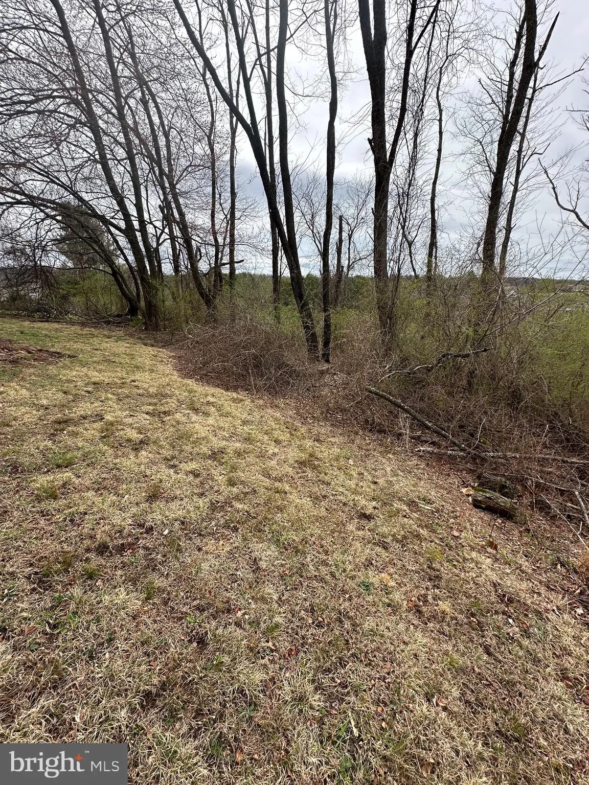 Auburn, Pennsylvania 17922, United States, ,Land,Active,103254