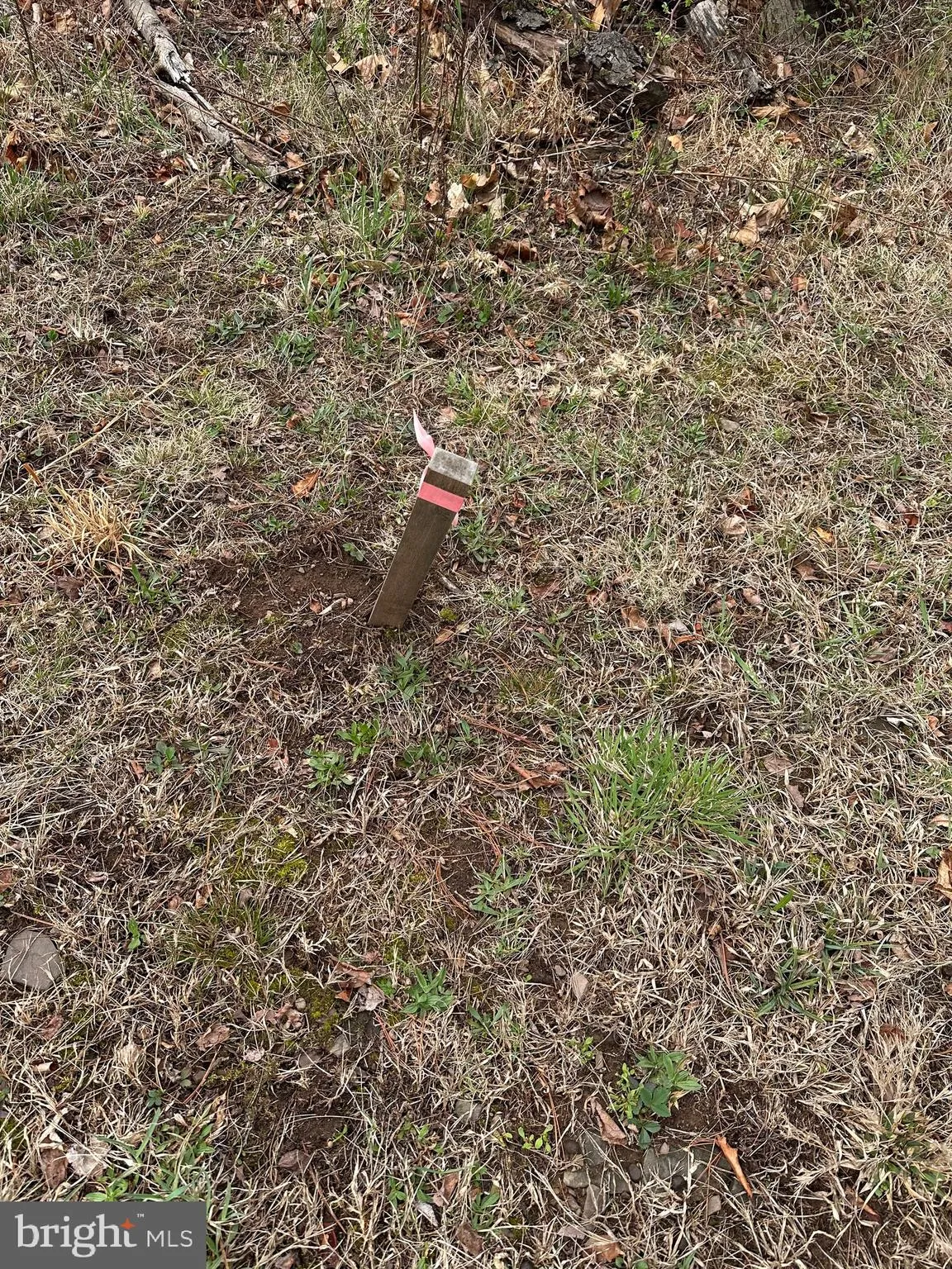 Auburn, Pennsylvania 17922, United States, ,Land,Active,103254