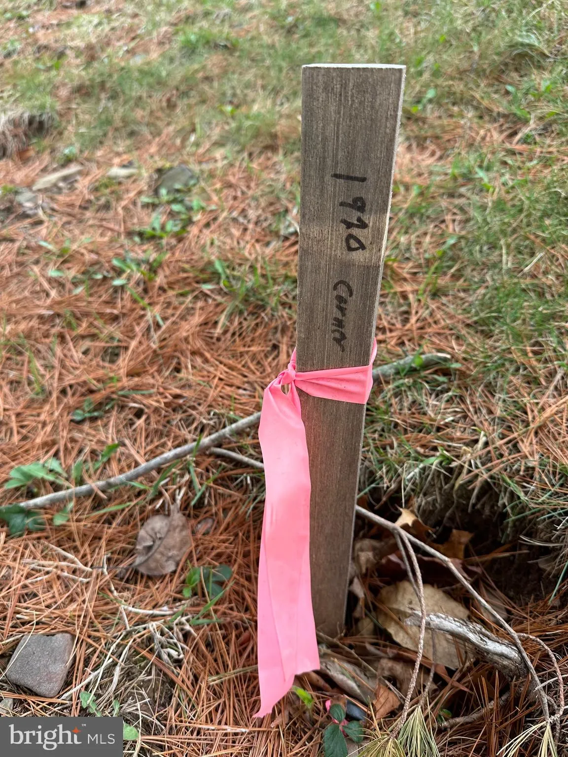 Auburn, Pennsylvania 17922, United States, ,Land,Active,103254